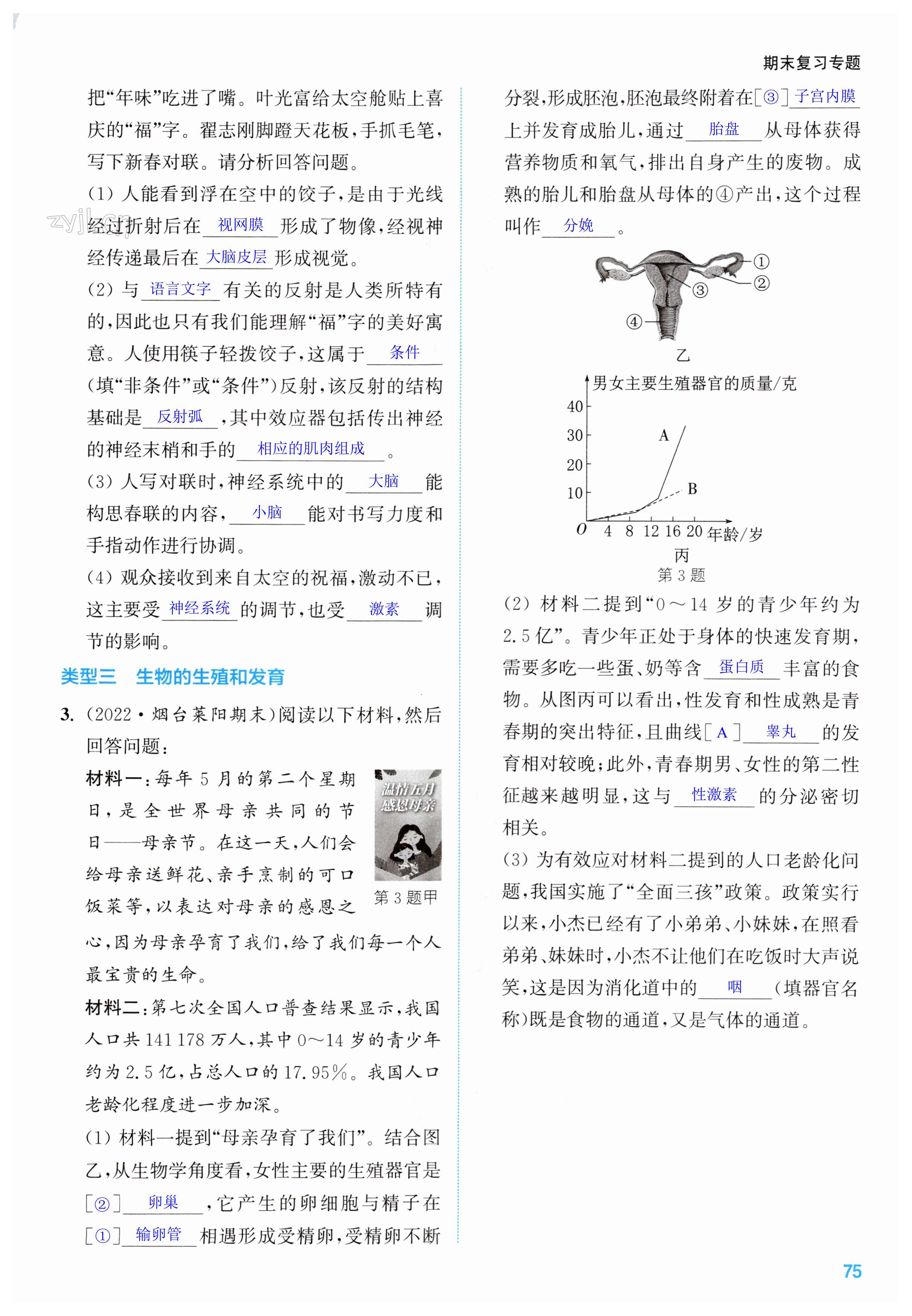 第75页