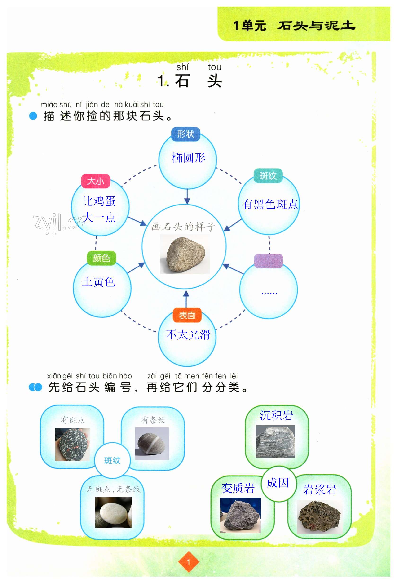 2023年學(xué)生活動手冊江蘇鳳凰教育出版社一年級科學(xué)下冊蘇教版 第1頁