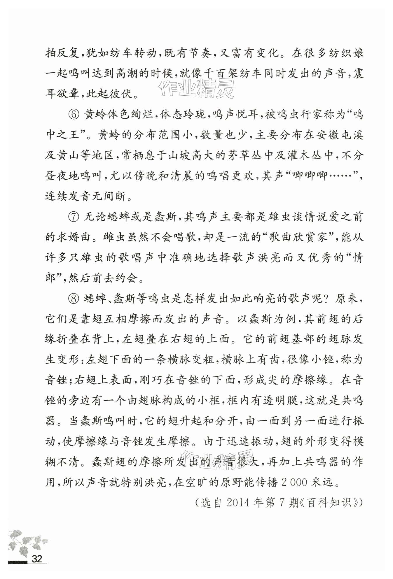 第32页