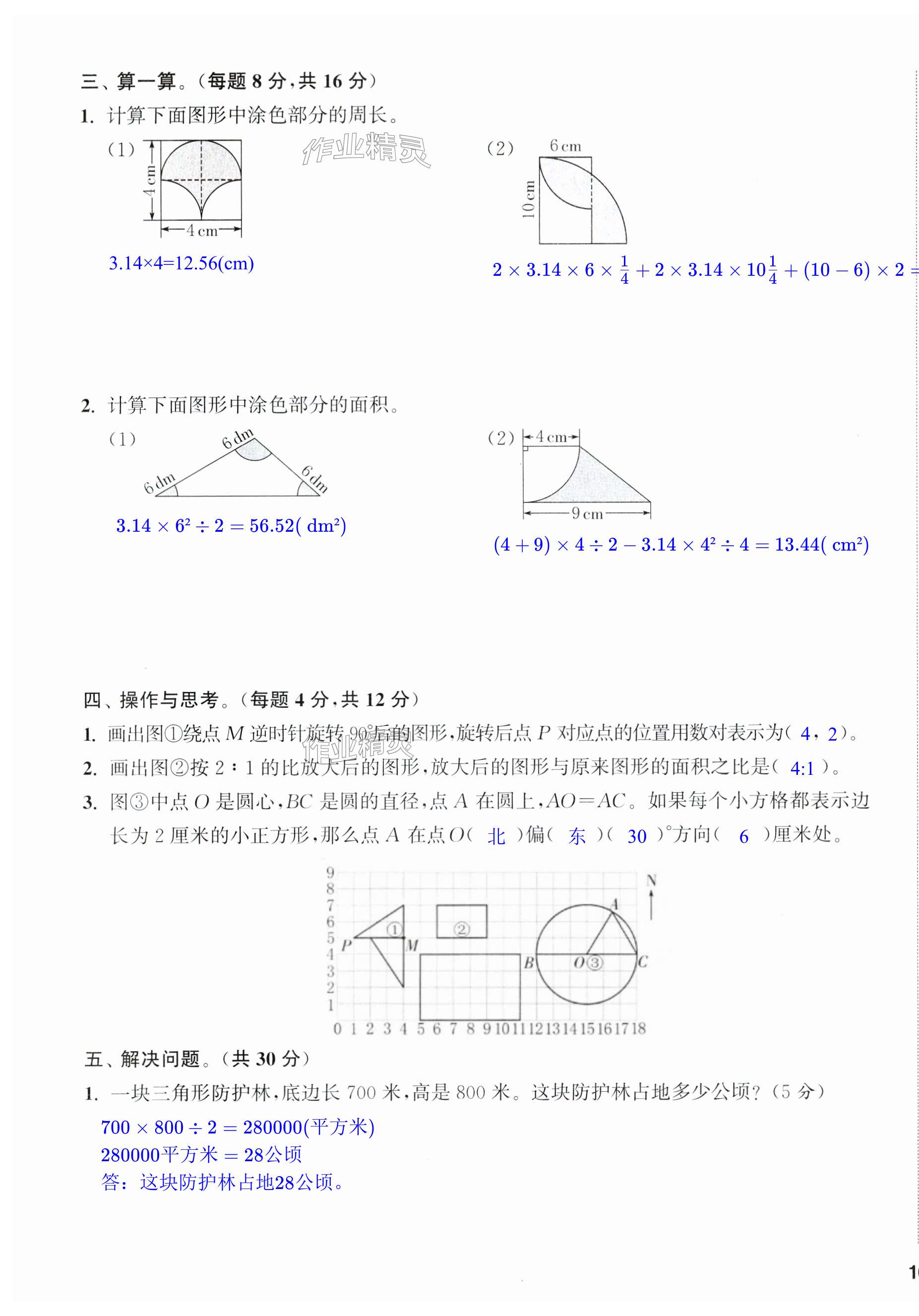 第31页