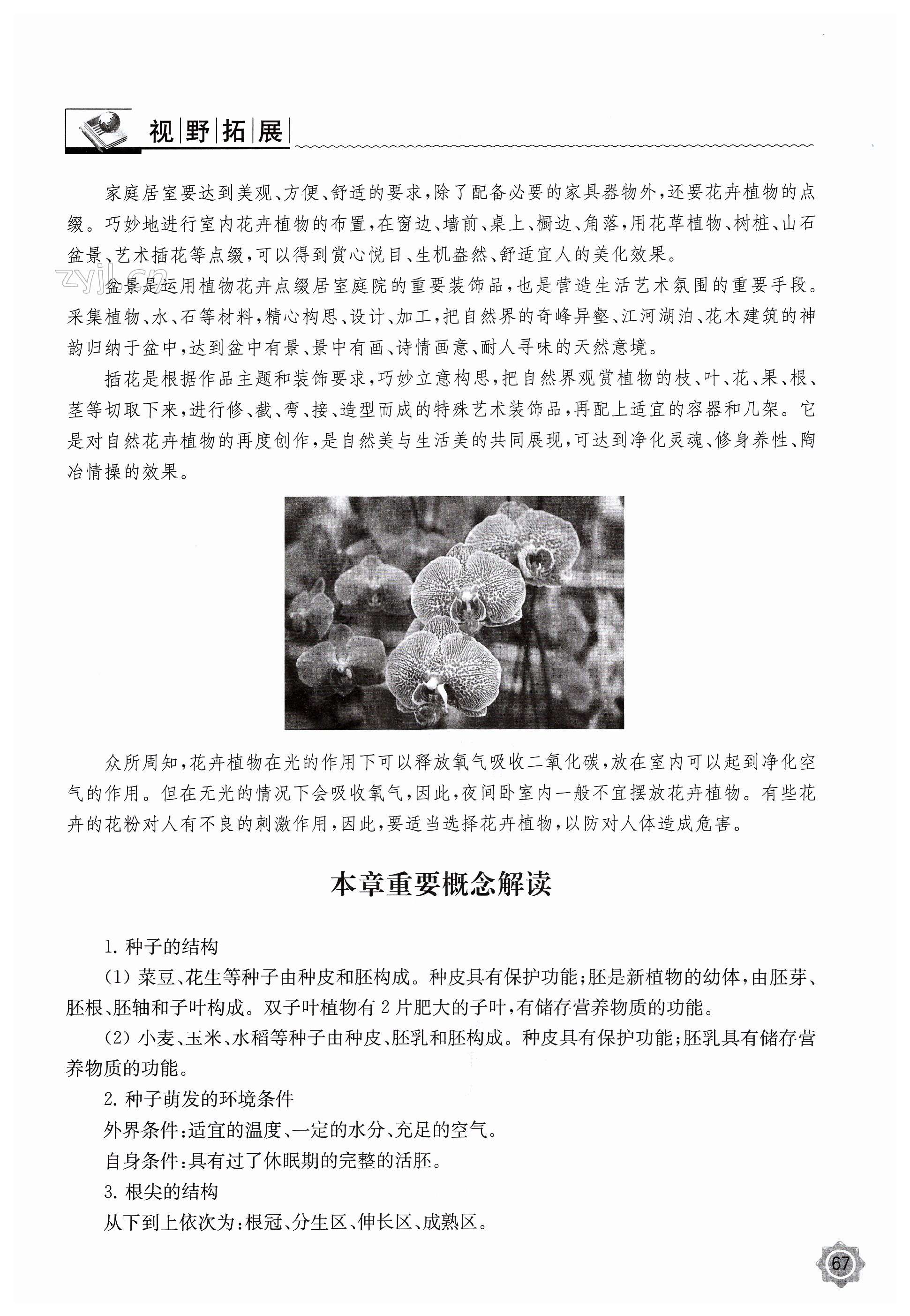 第67页