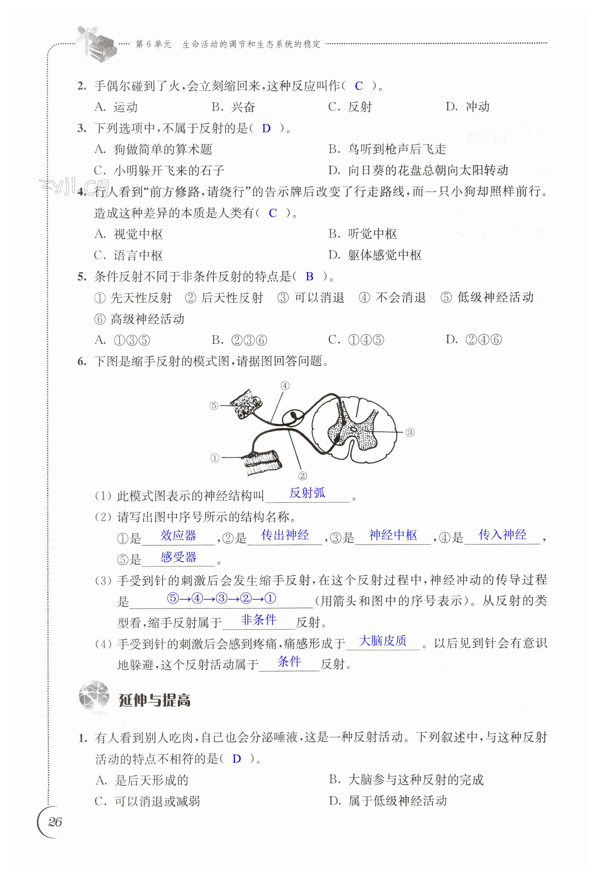 第26页