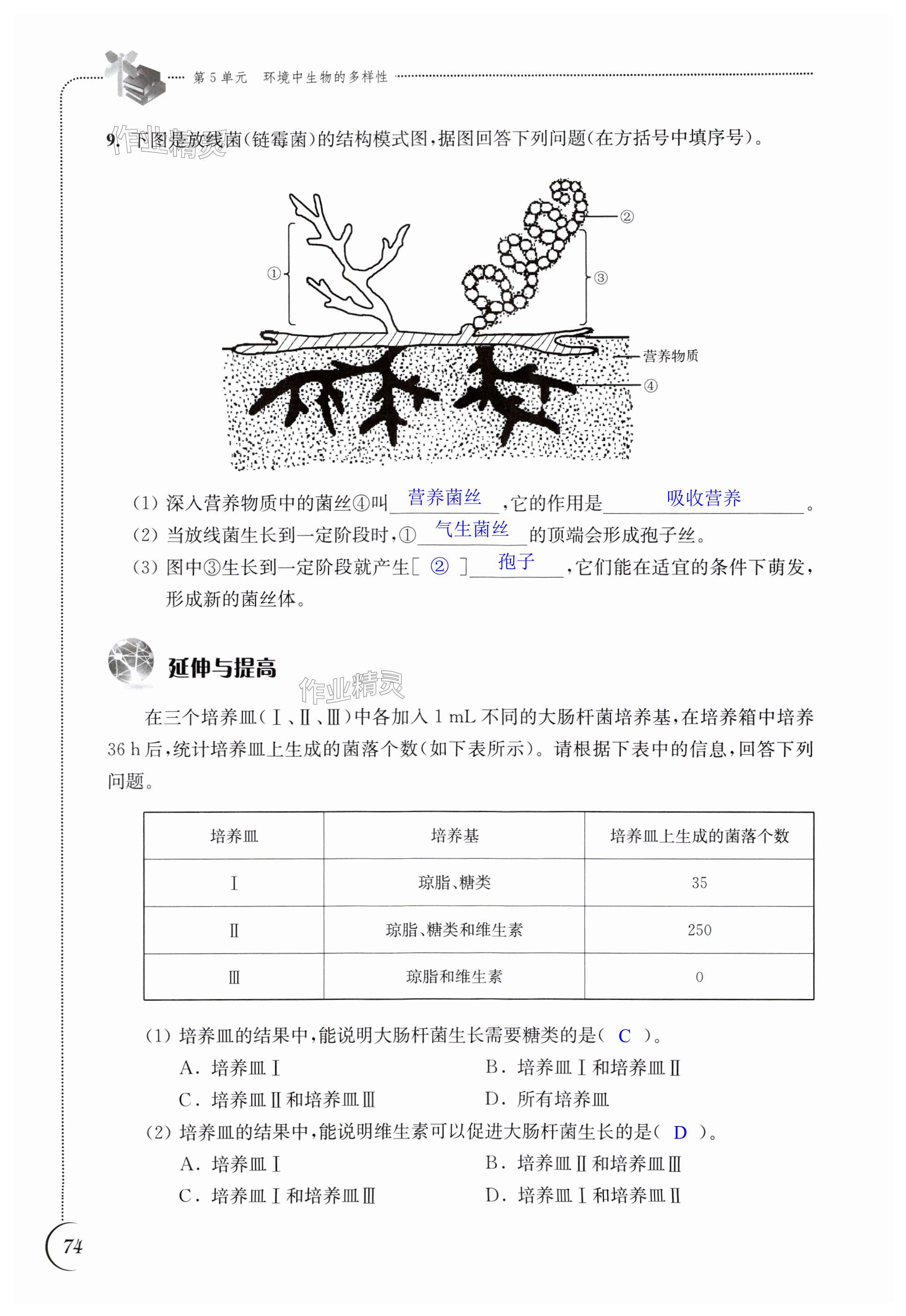 第74頁