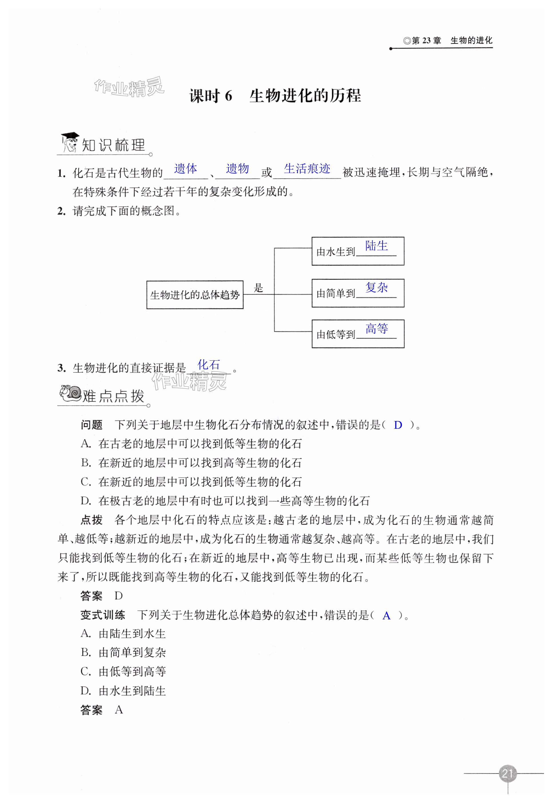 第21頁(yè)