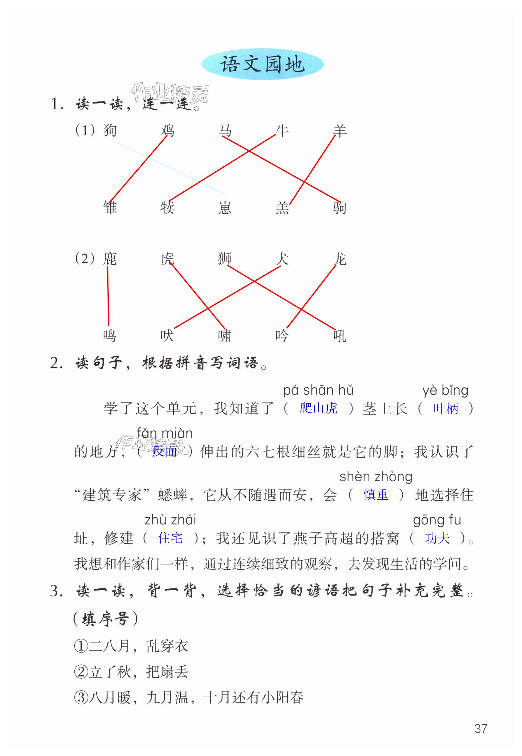 第37页