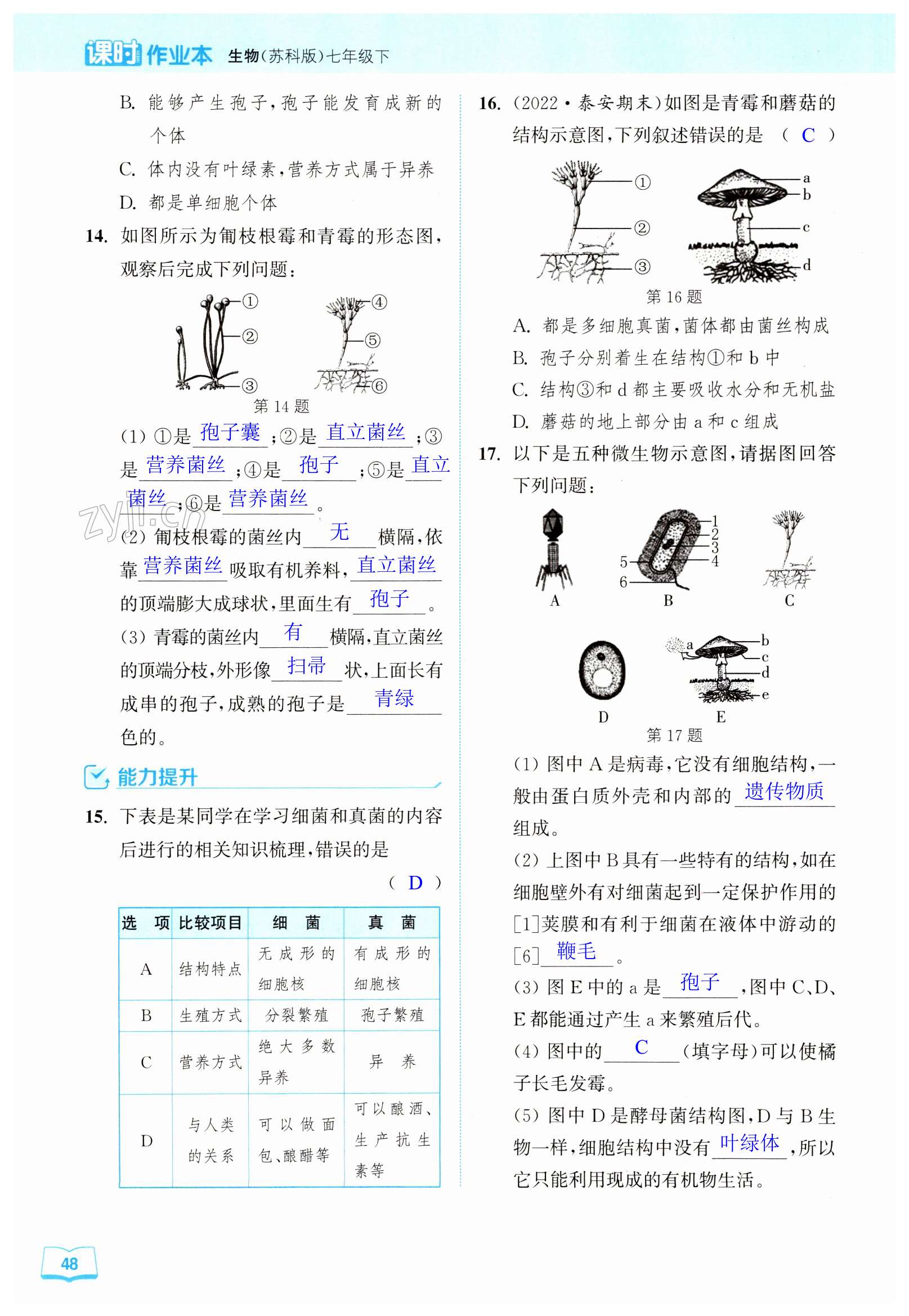 第48頁