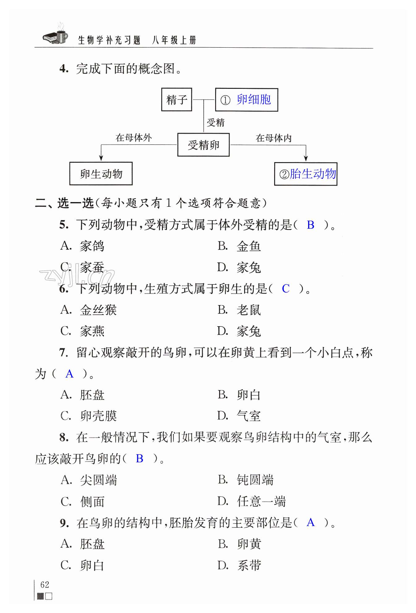 第62页