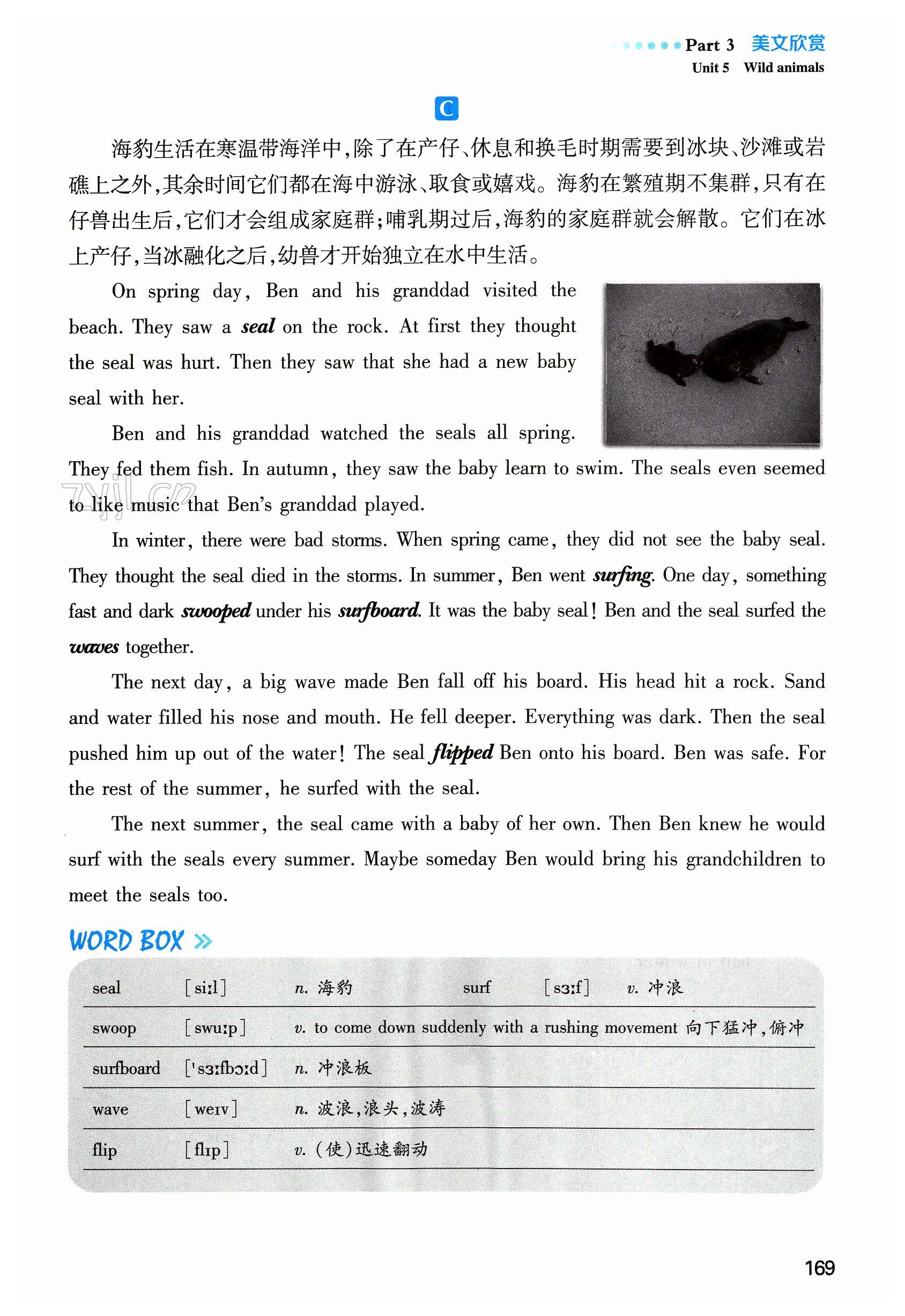 第169页