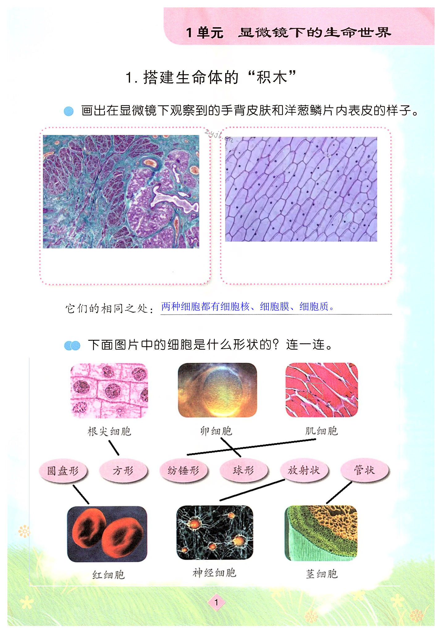 2022年科学学生活动手册五年级下册苏教版 第1页