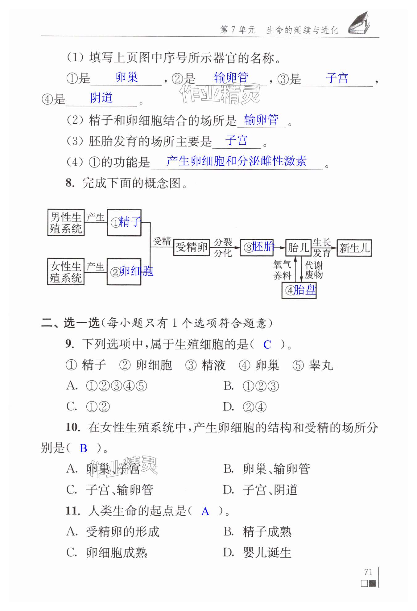 第71頁