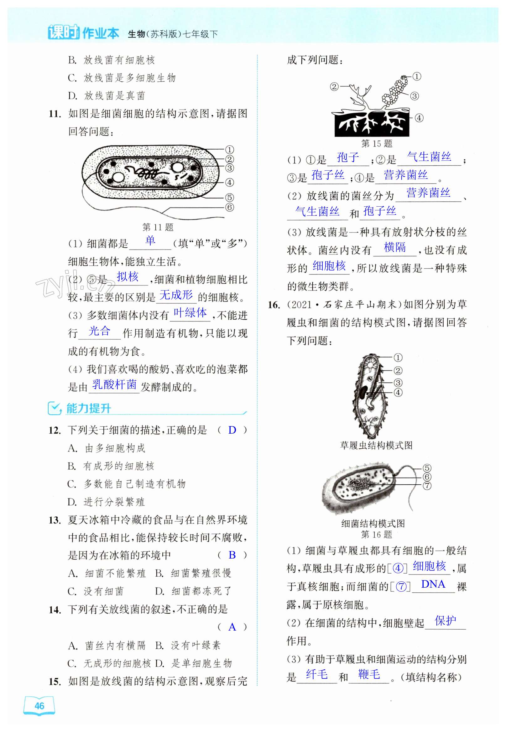 第46頁