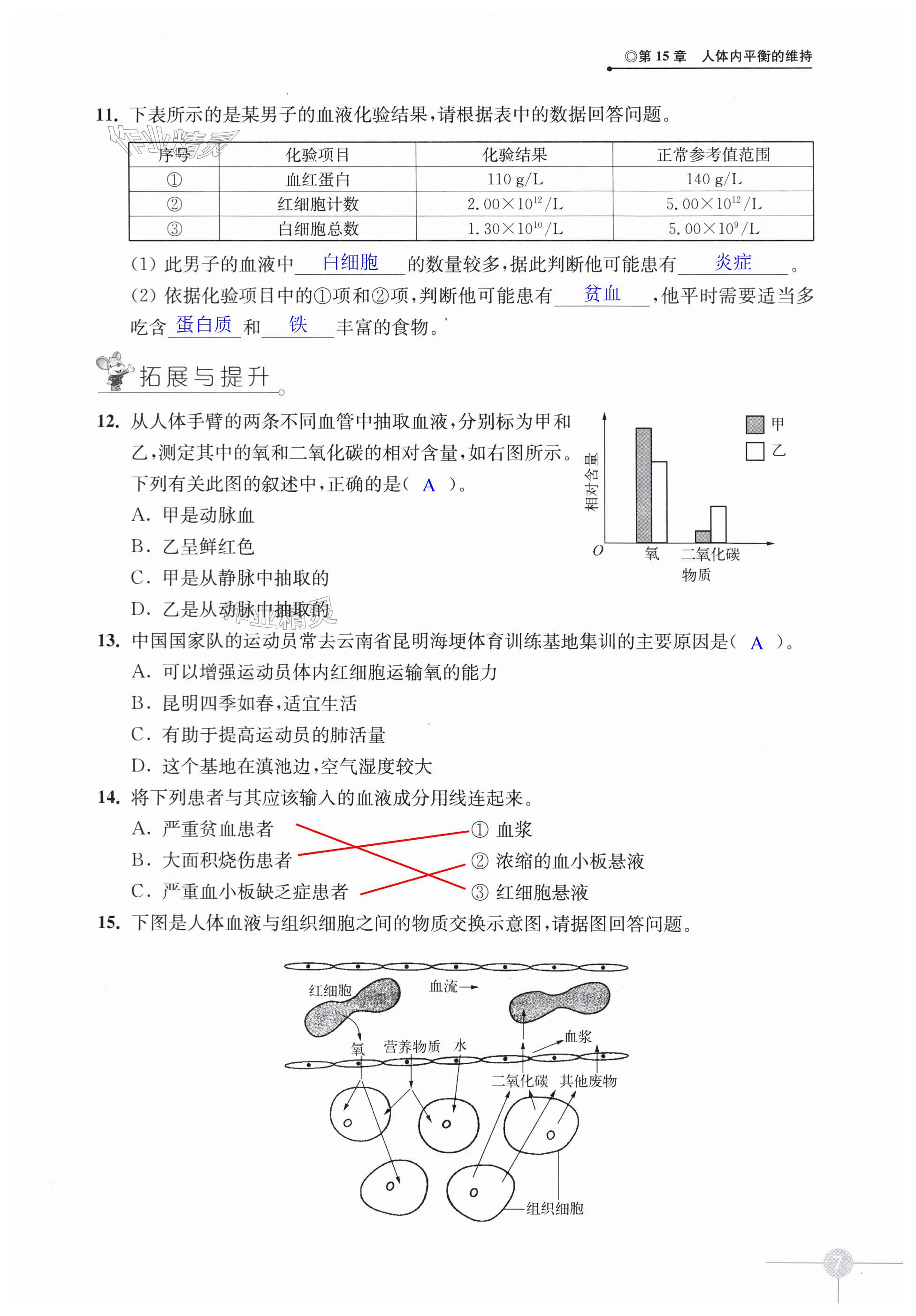 第7頁