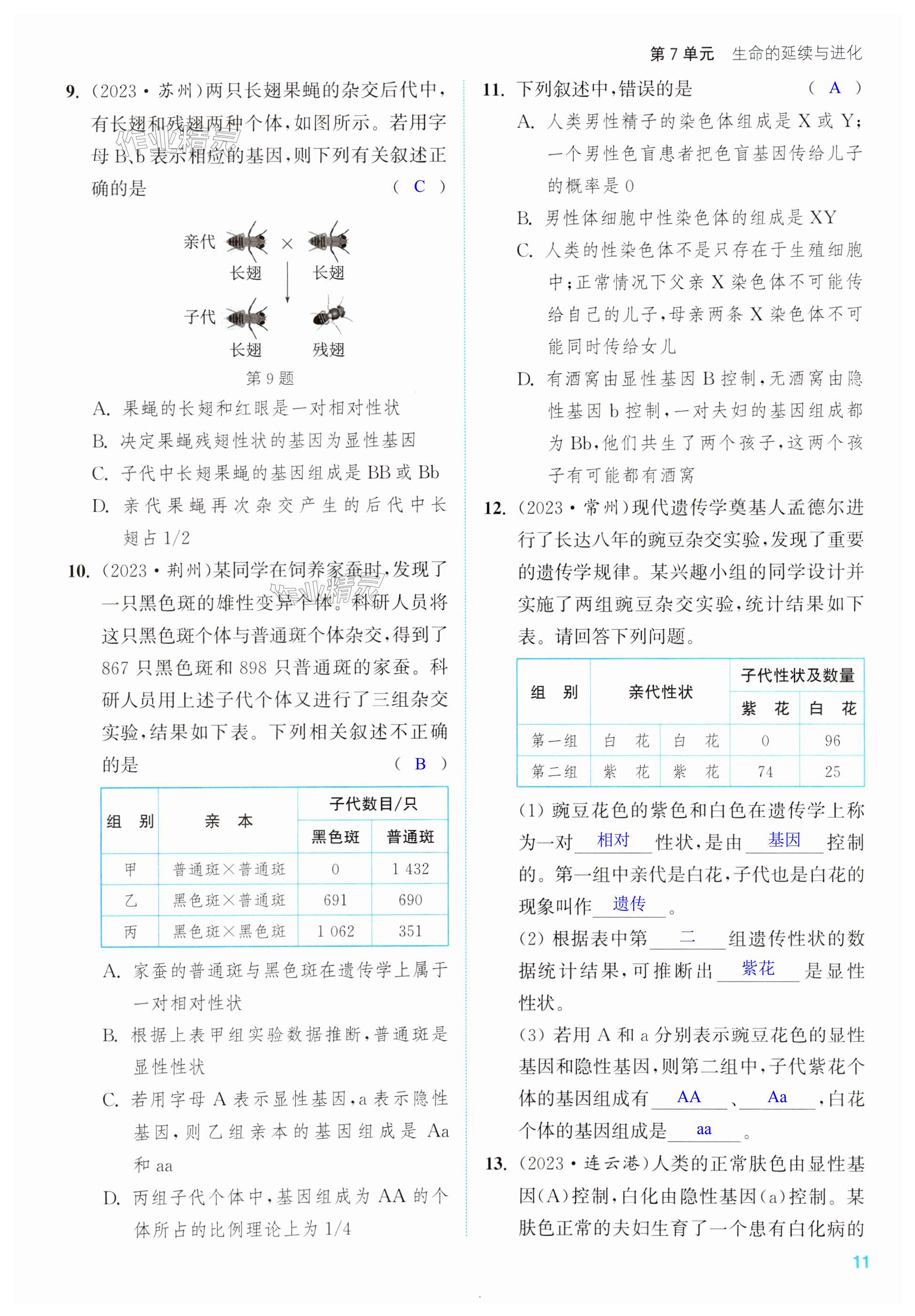 第11頁(yè)