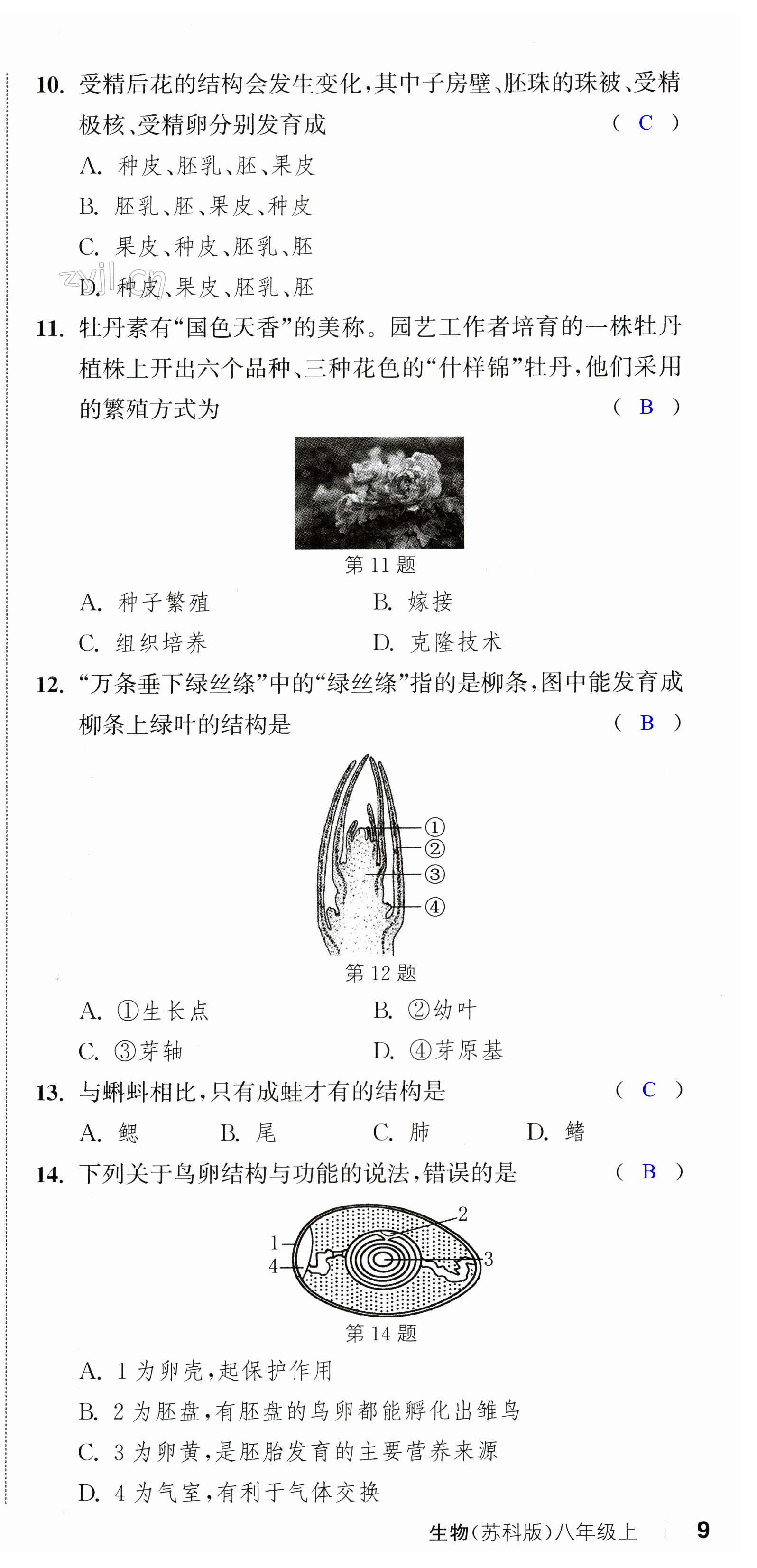 第27頁(yè)