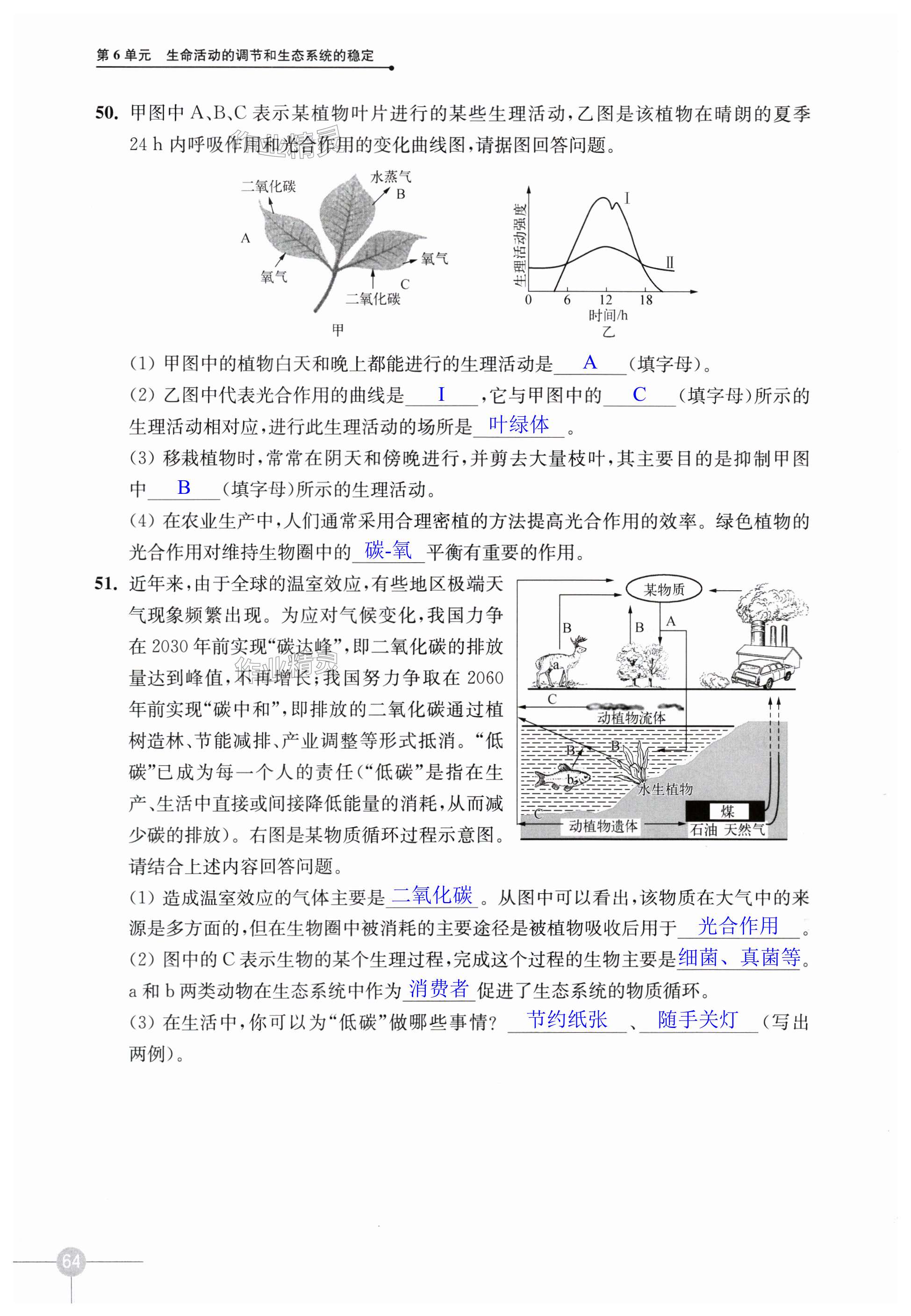 第64頁