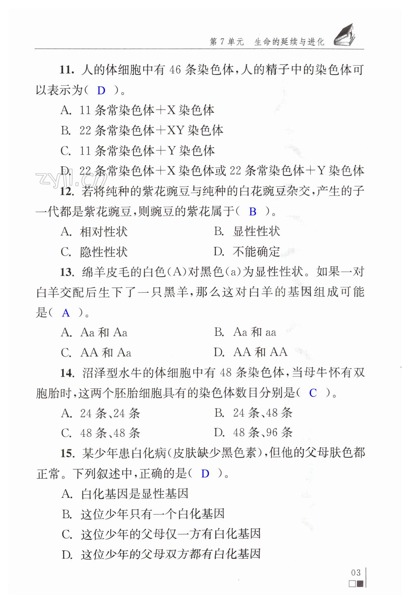 第3页