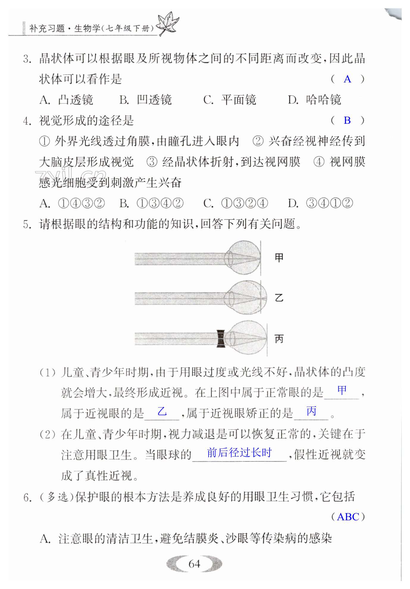 第64页