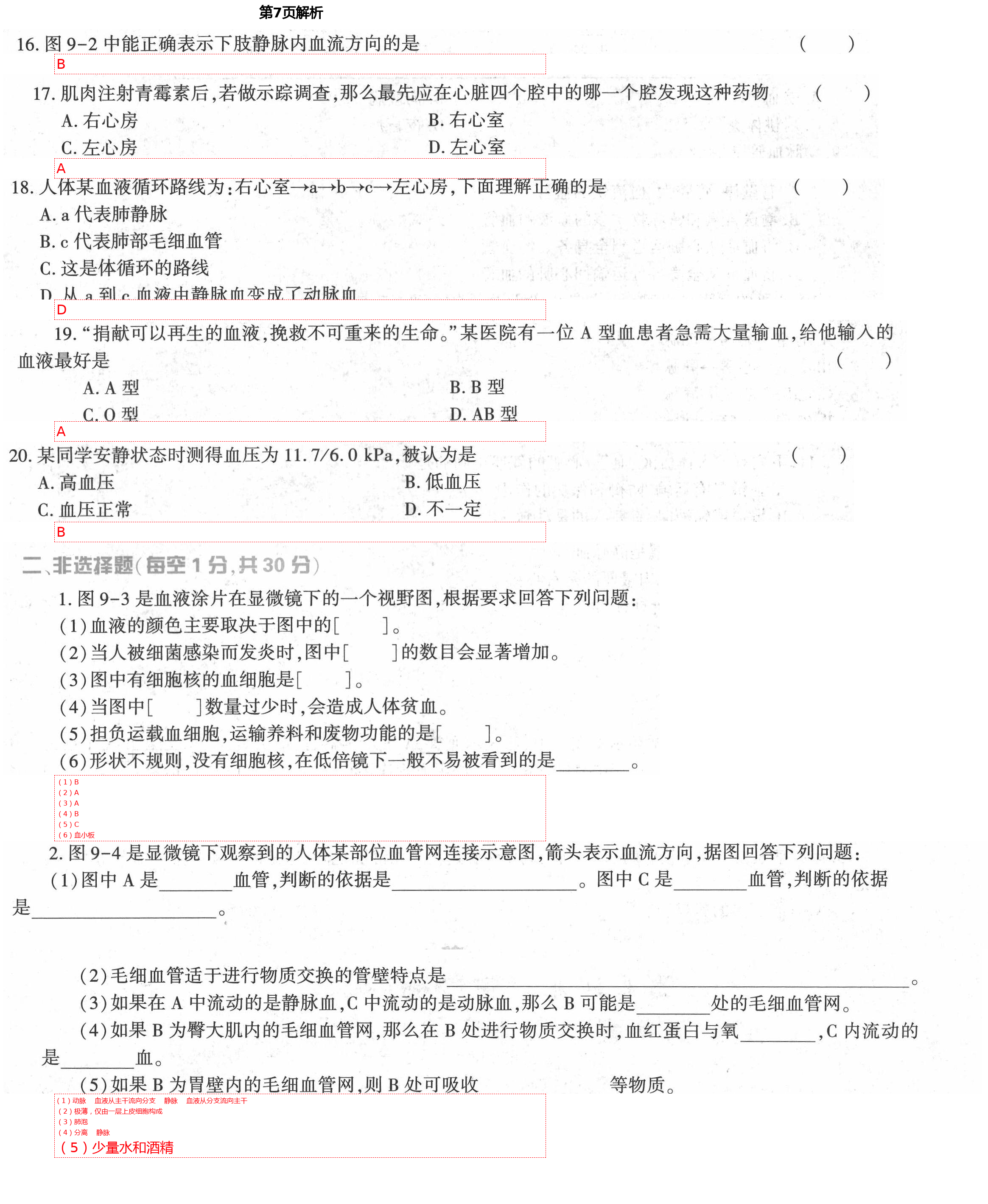 2021年基础训练七年级生物学下册北师大版大象出版社 第7页