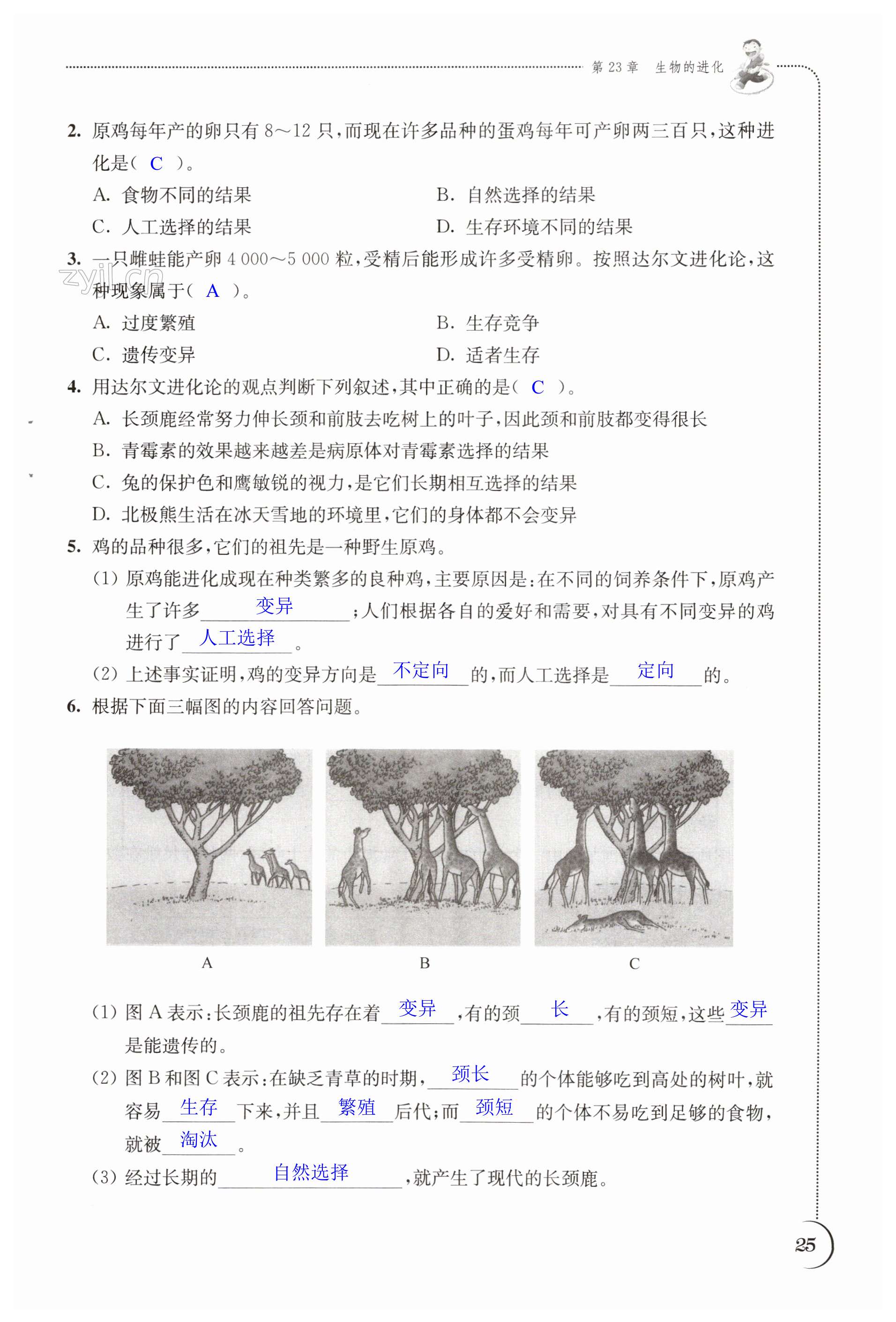 第25页