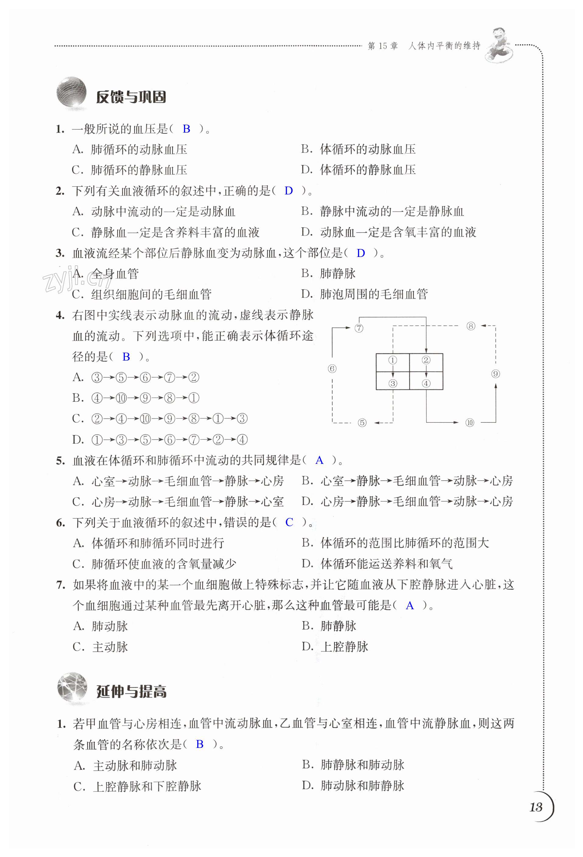 第13頁