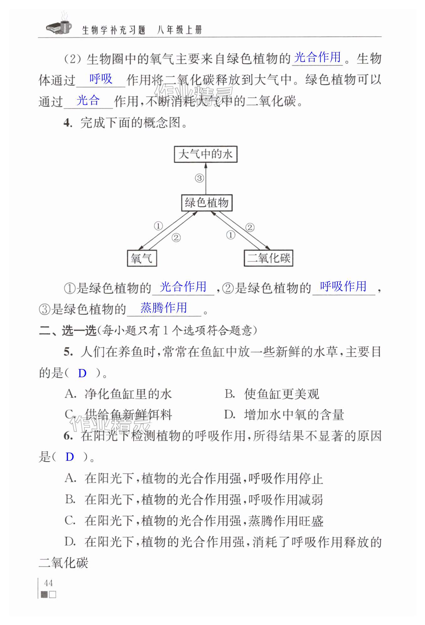 第44頁