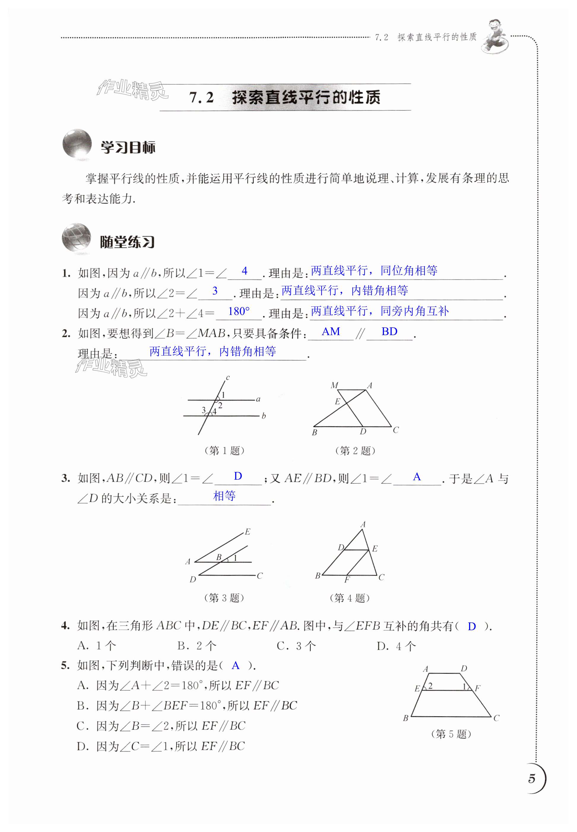 第5页