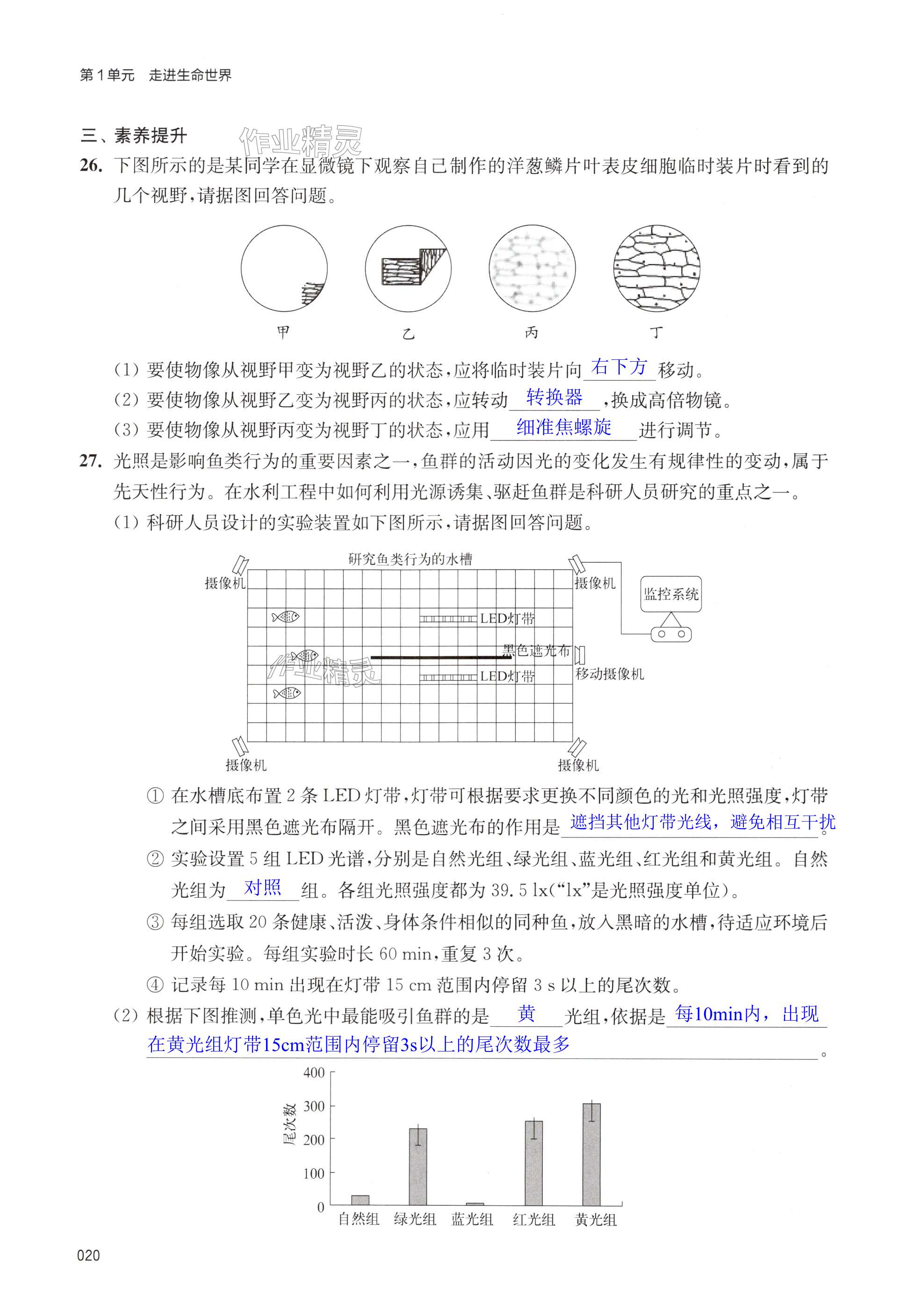 第20頁(yè)