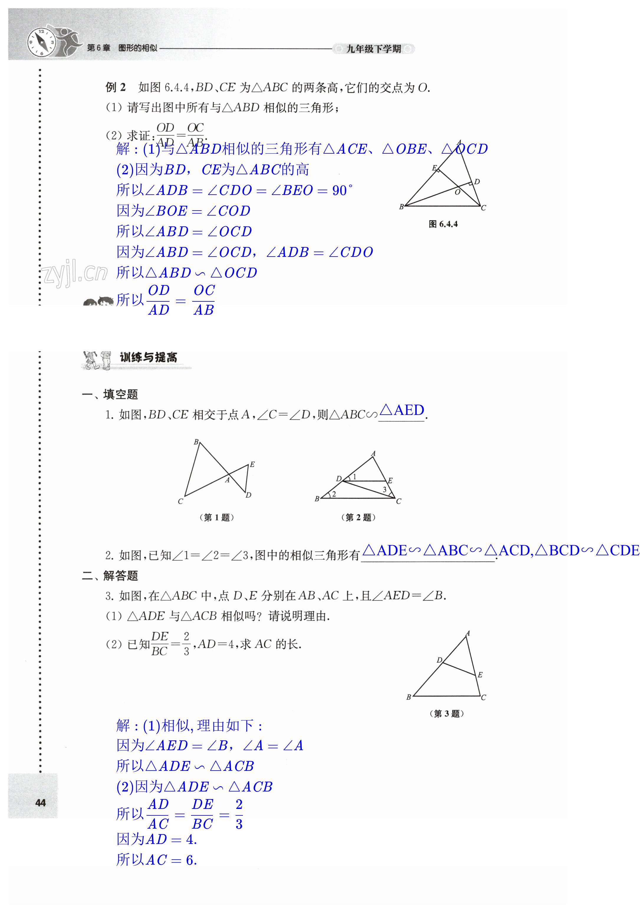 第44頁