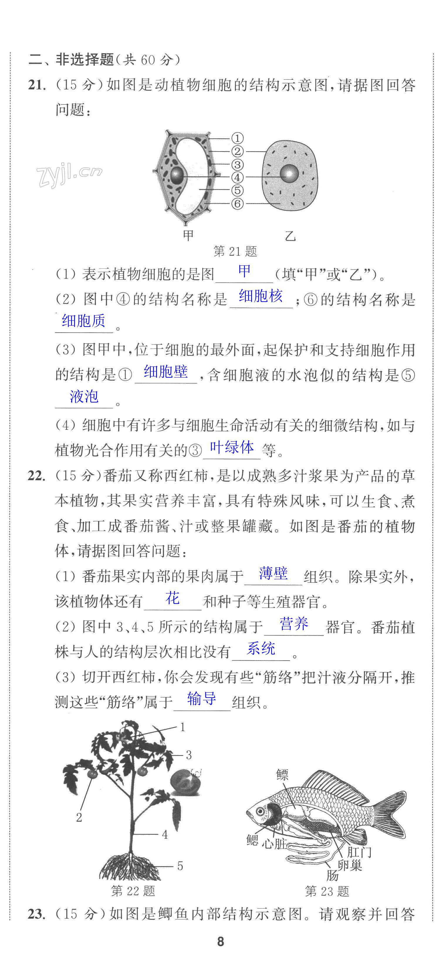 第23页