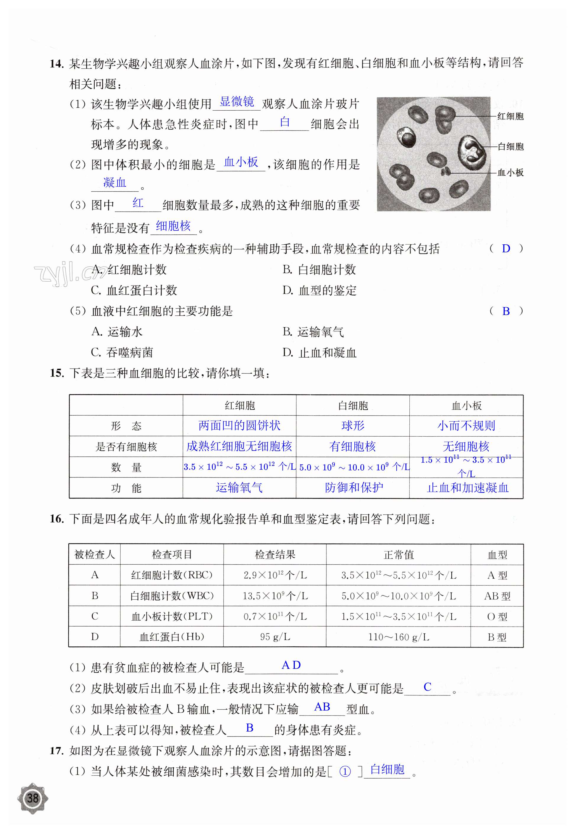 第38頁(yè)