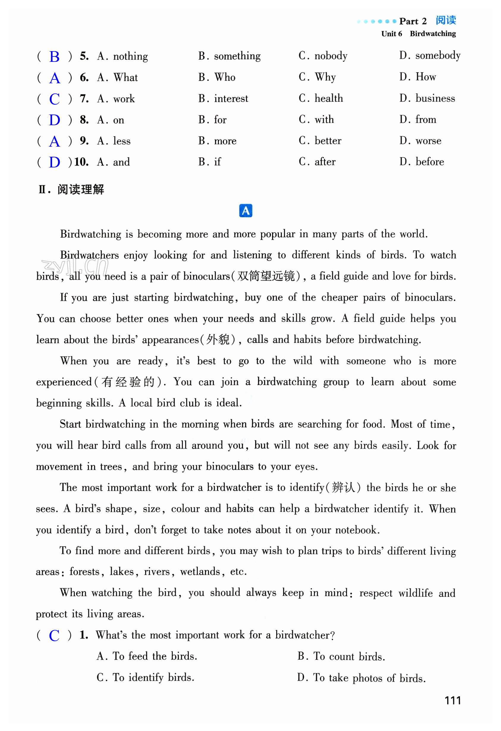 第111页