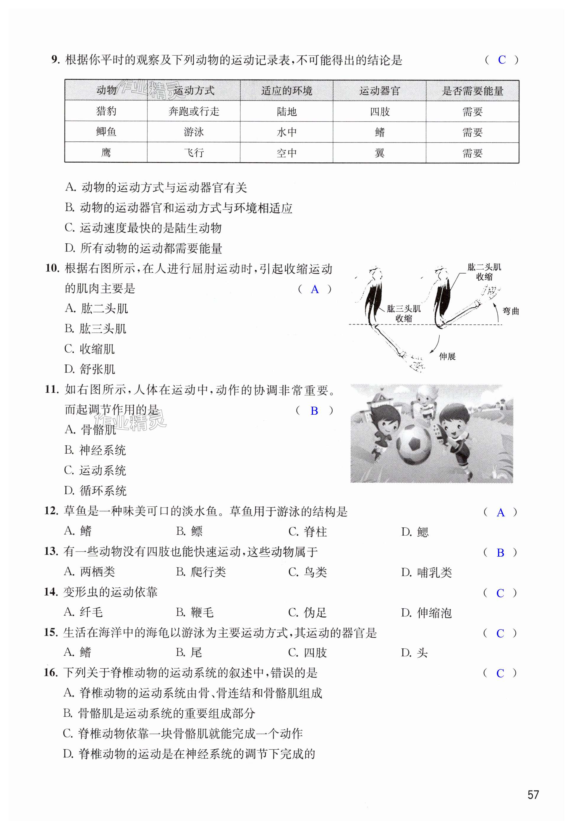 第57頁