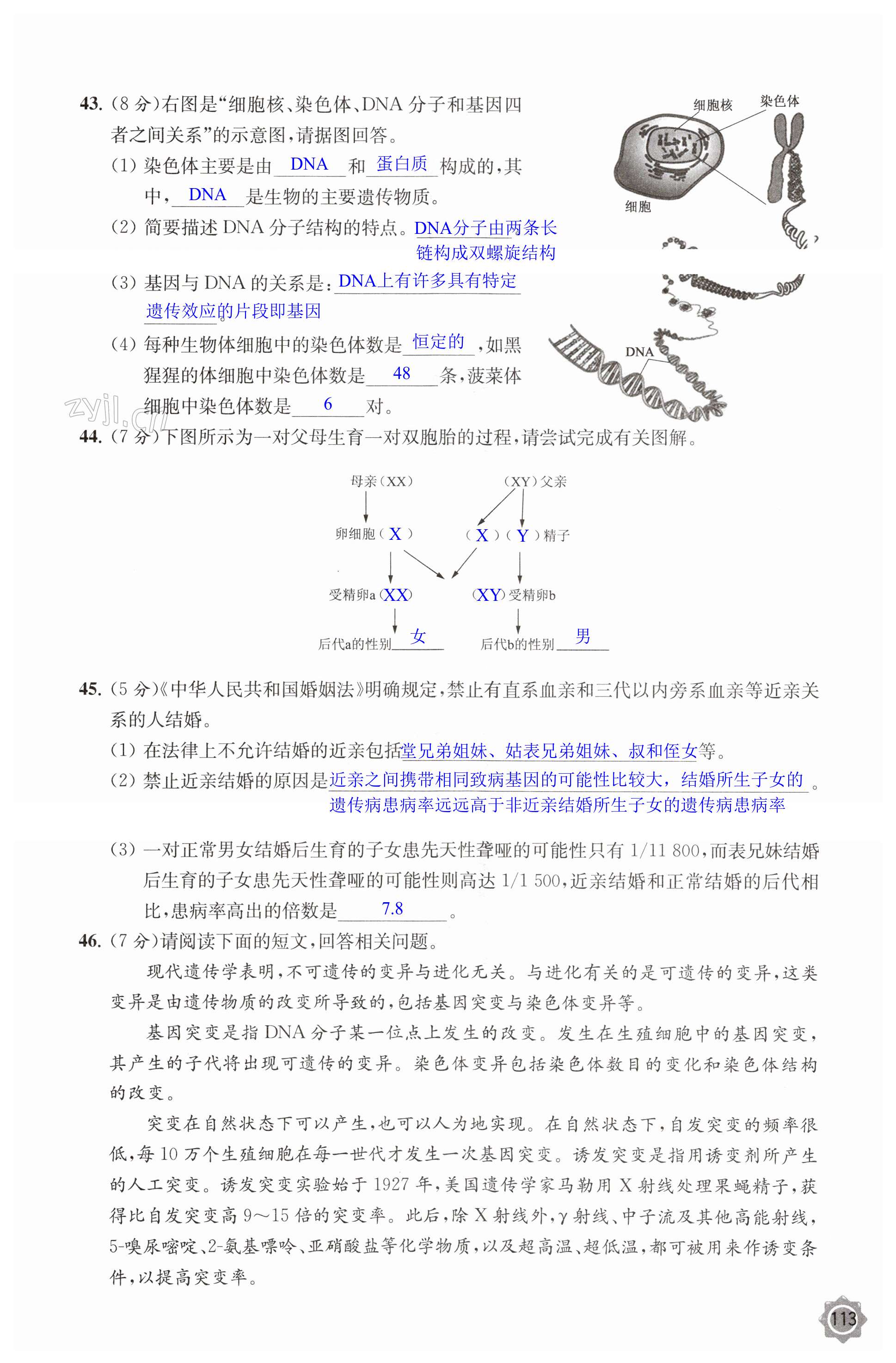 第113頁