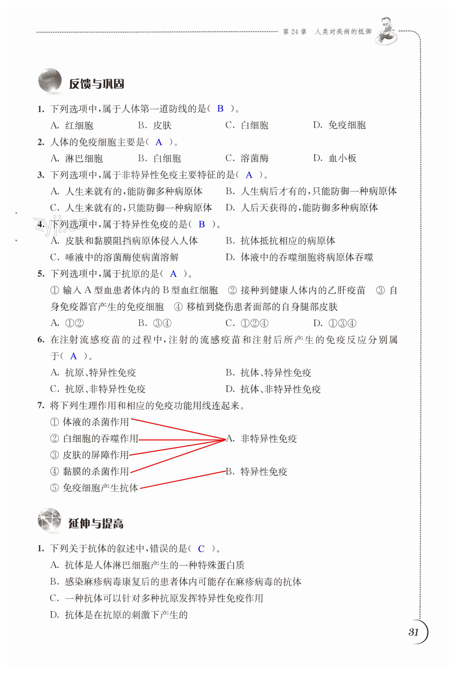 第31页