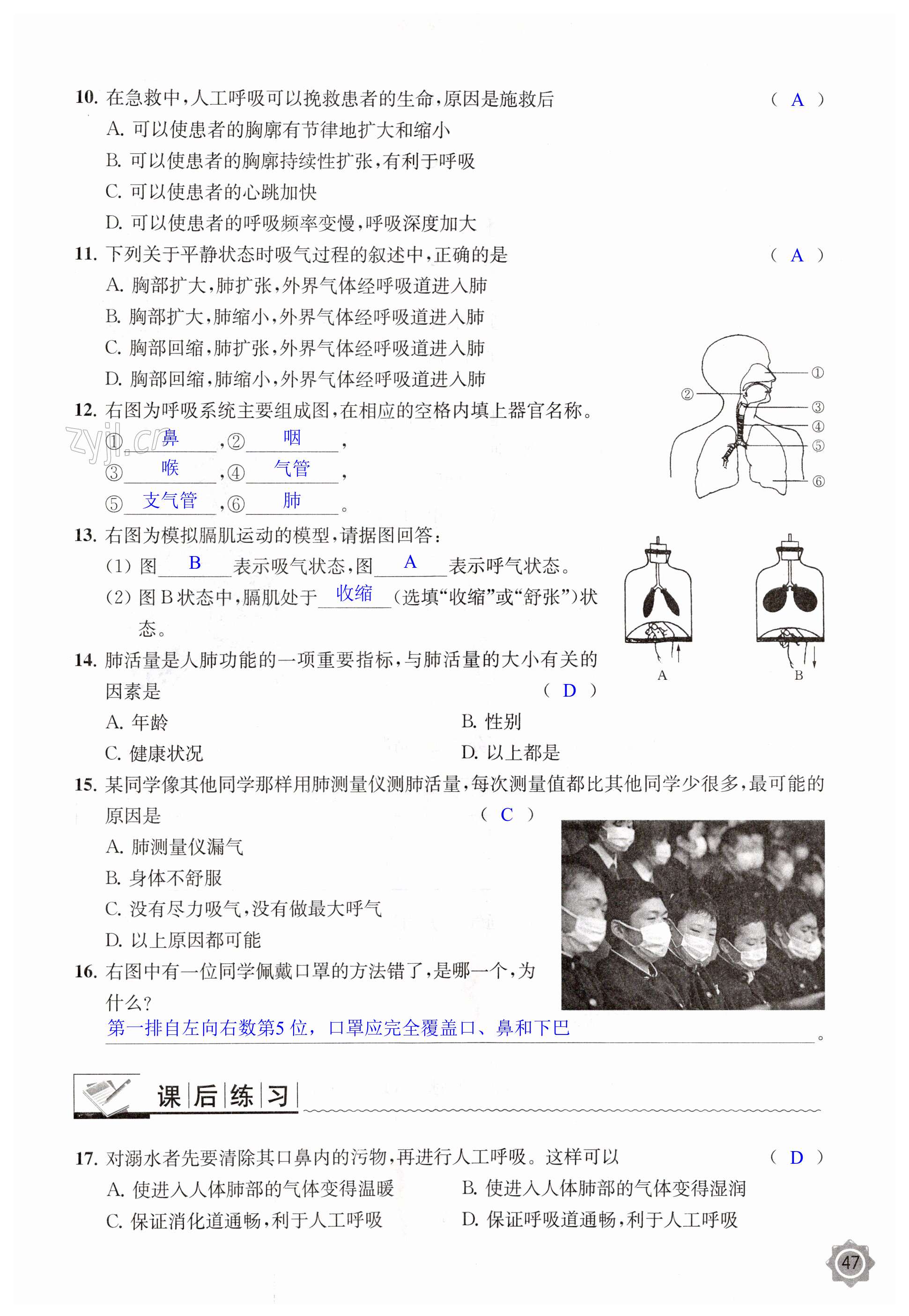 第47頁