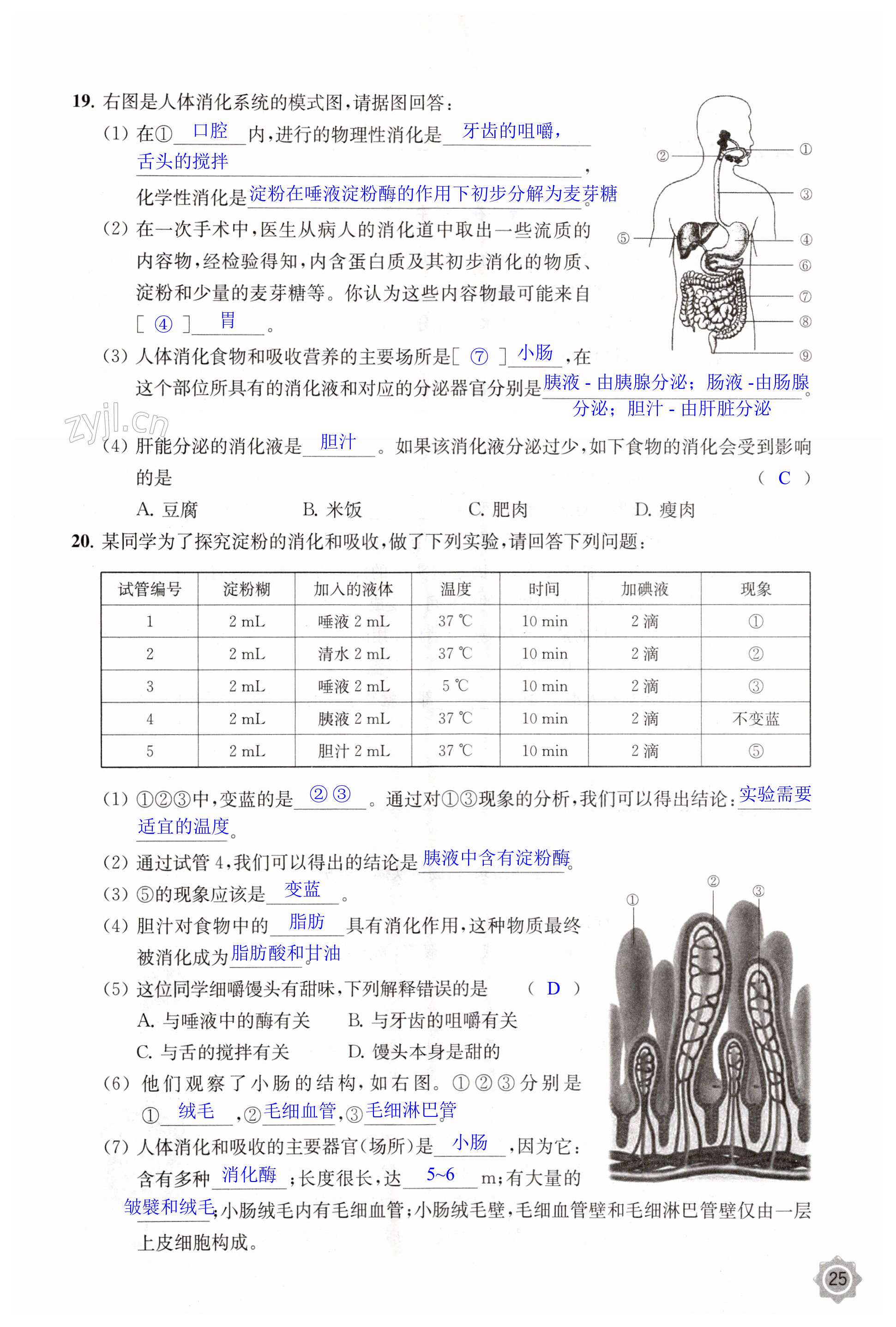 第25頁