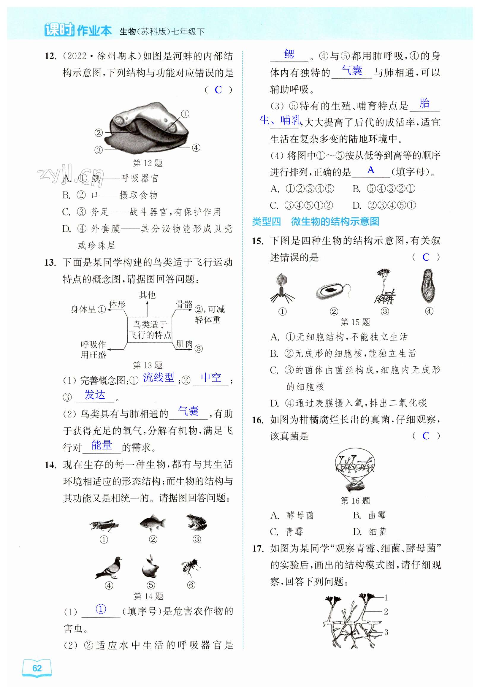 第62頁