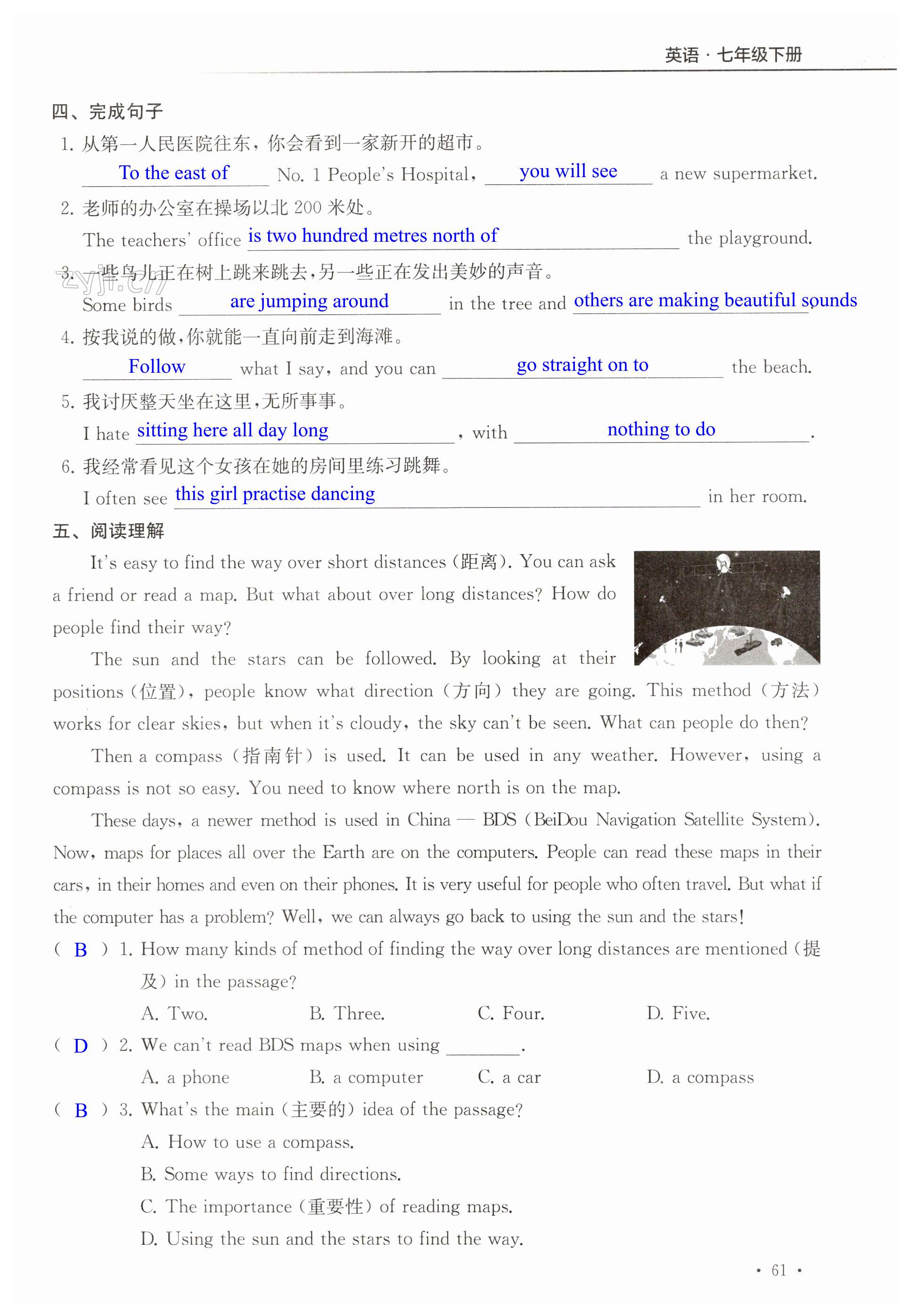 第61页