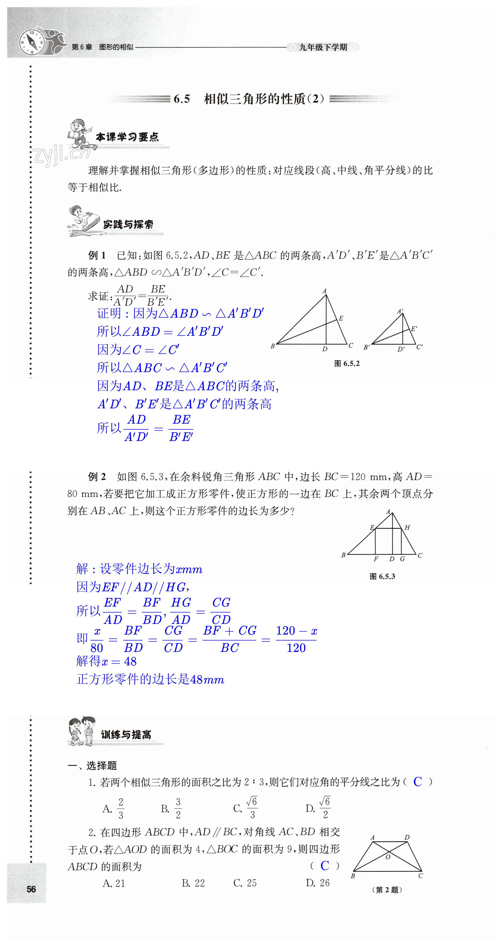 第56頁