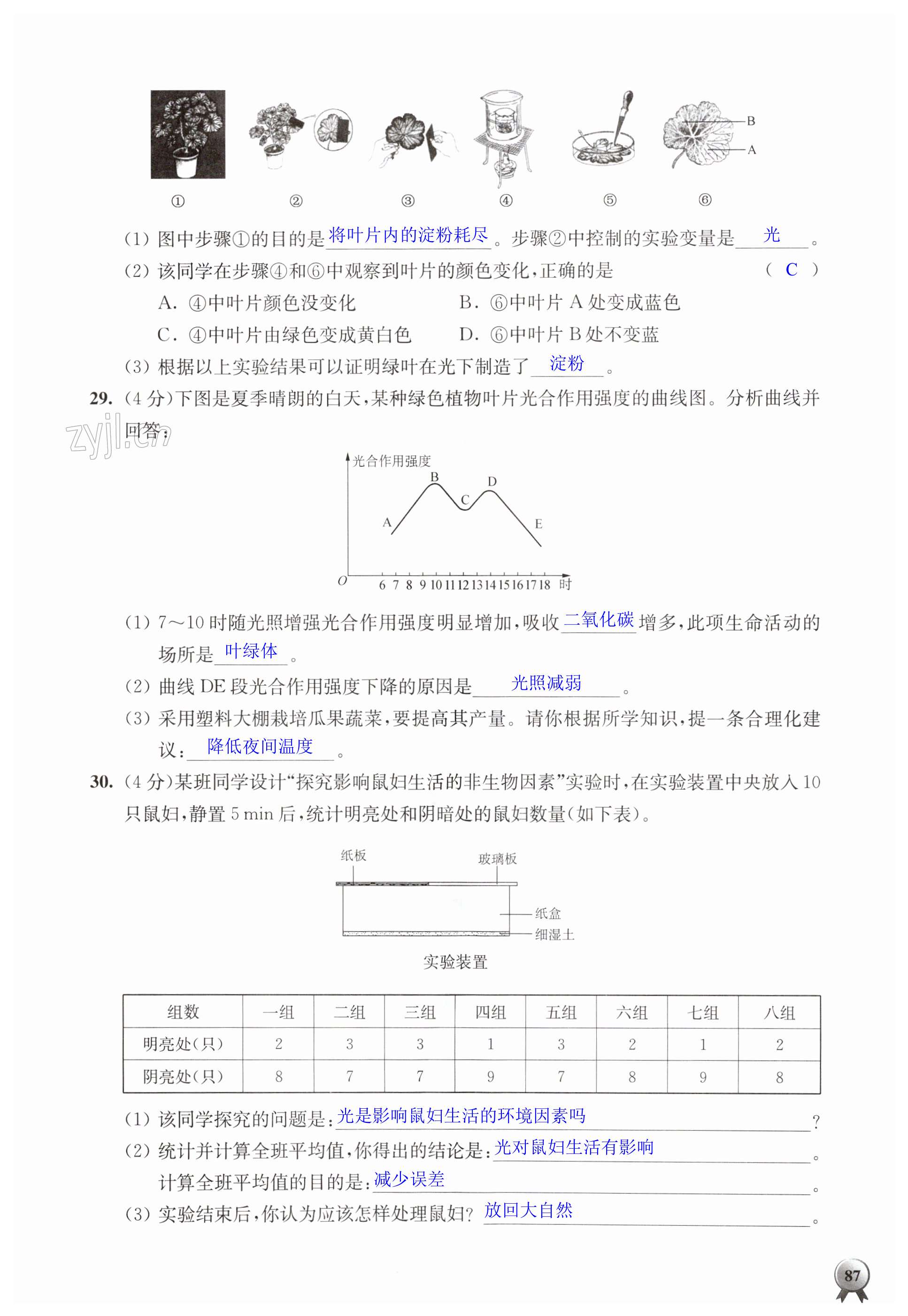 第87頁