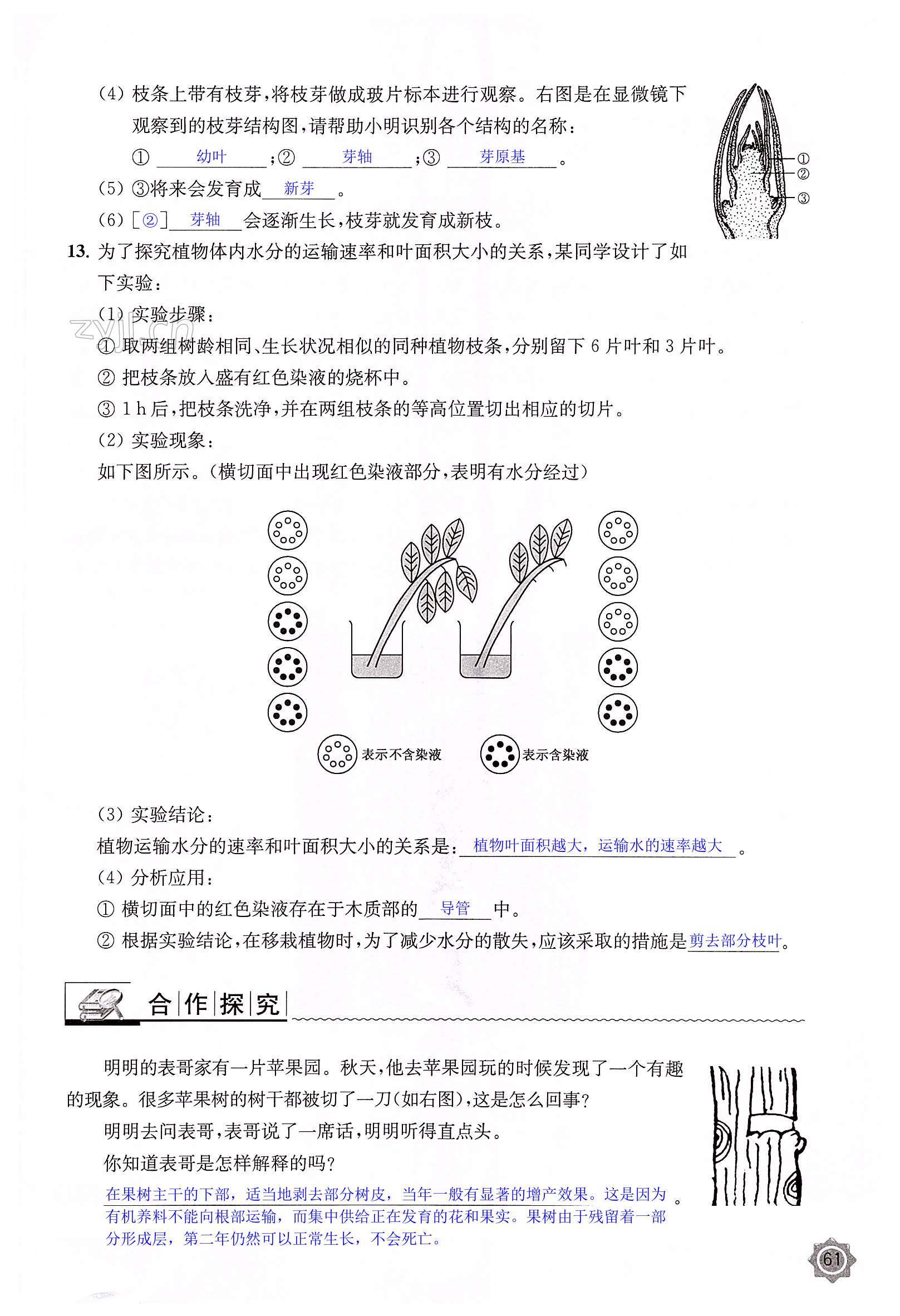 第61页