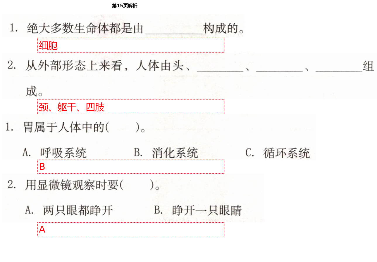 2021年科學(xué)學(xué)習(xí)與鞏固六年級下冊冀人版 第15頁