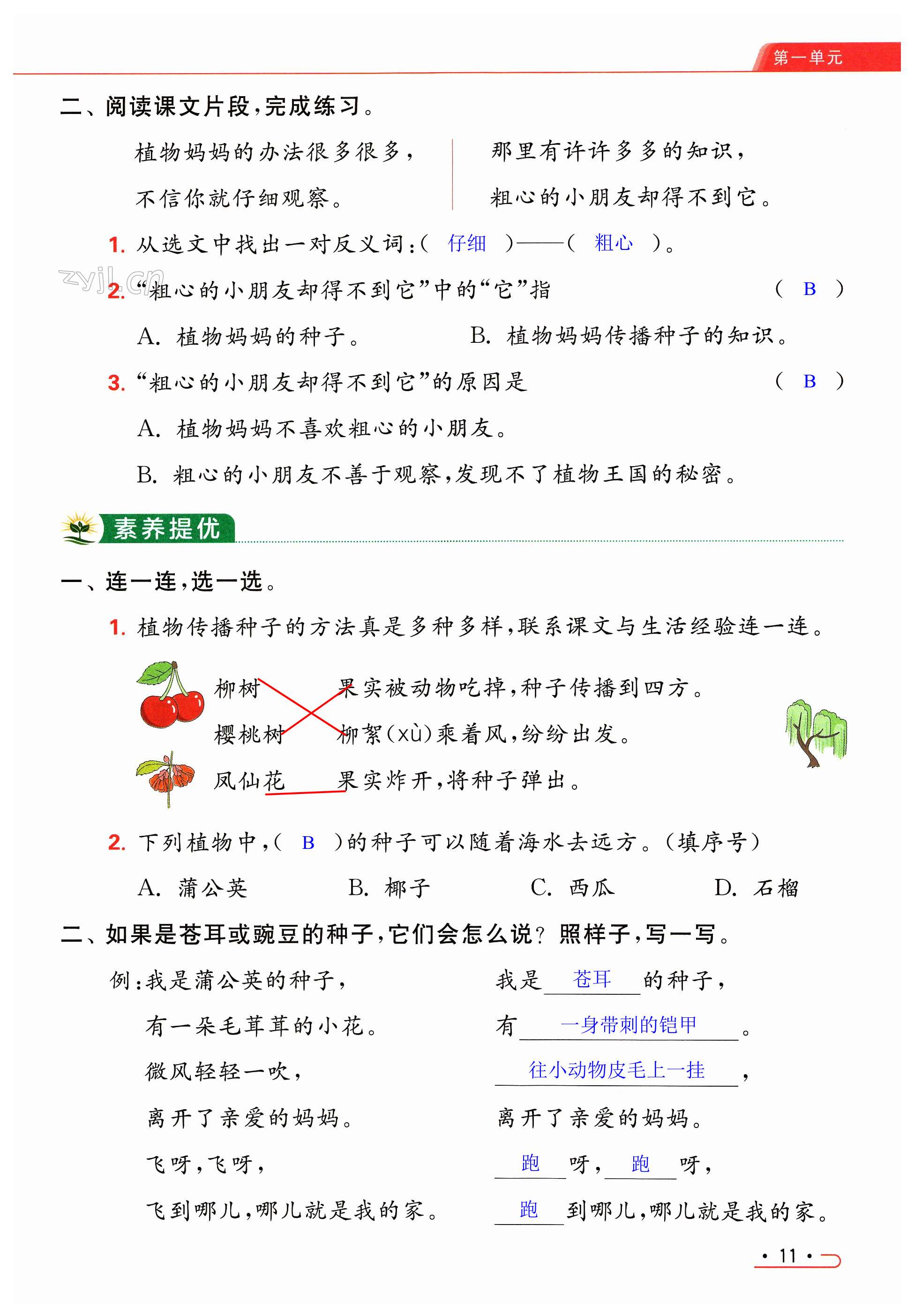 第11页