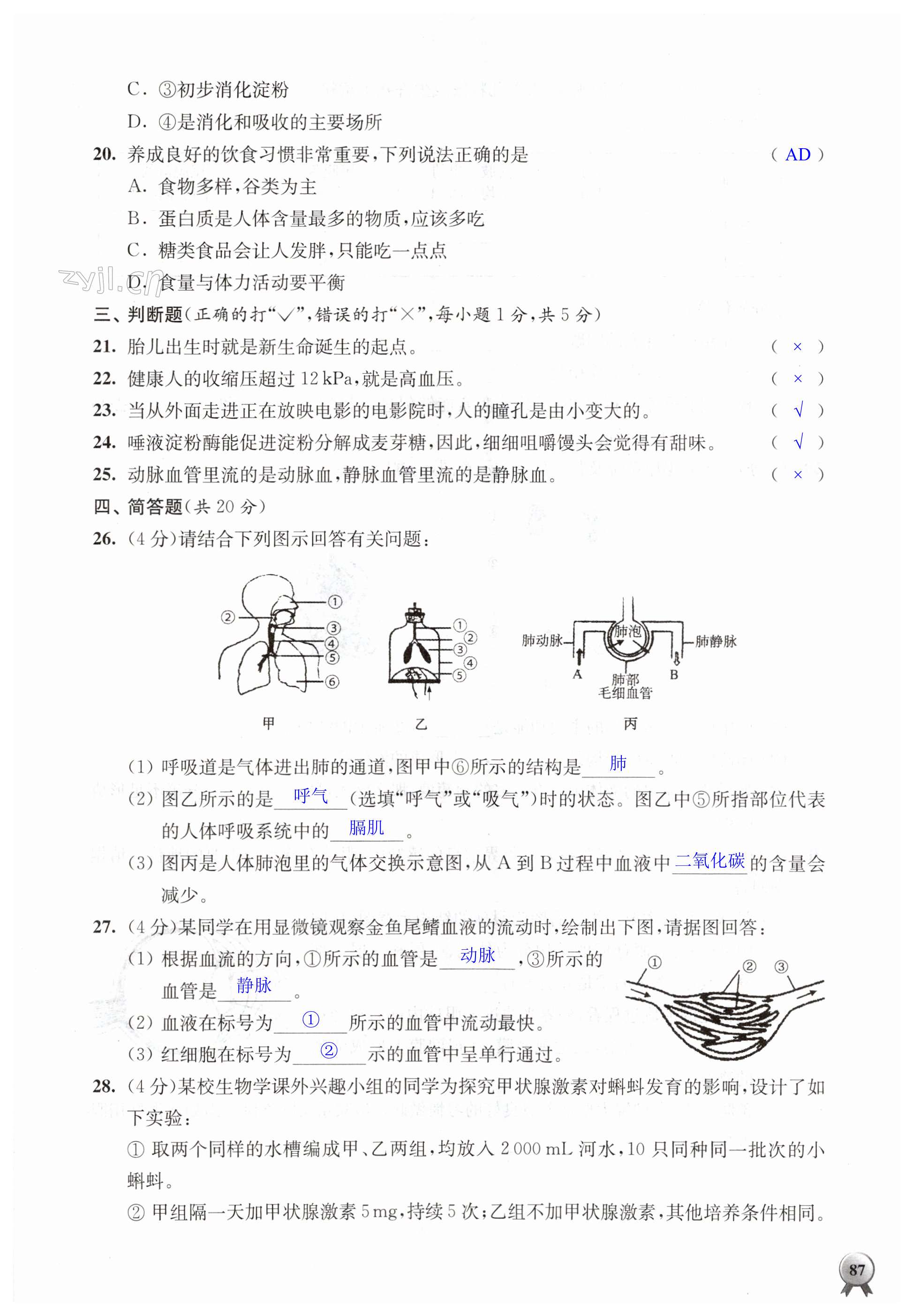 第87頁(yè)