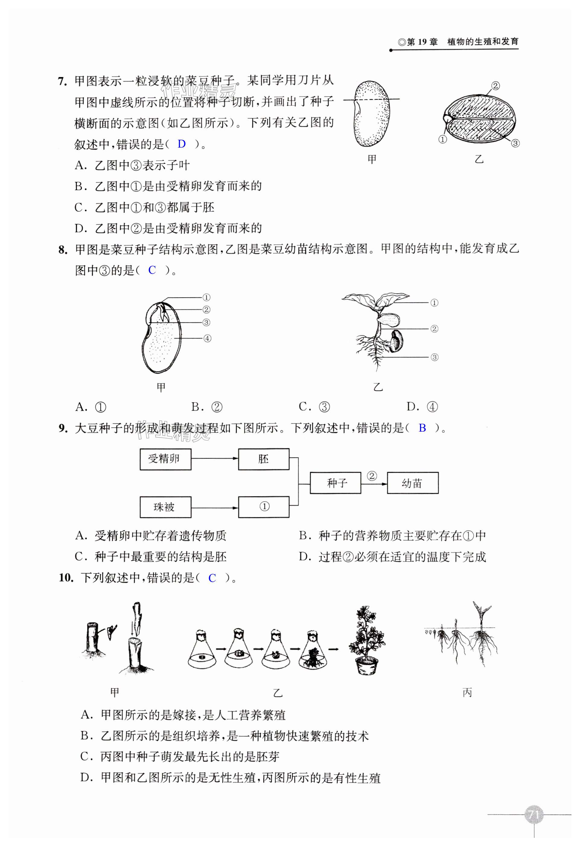 第71頁