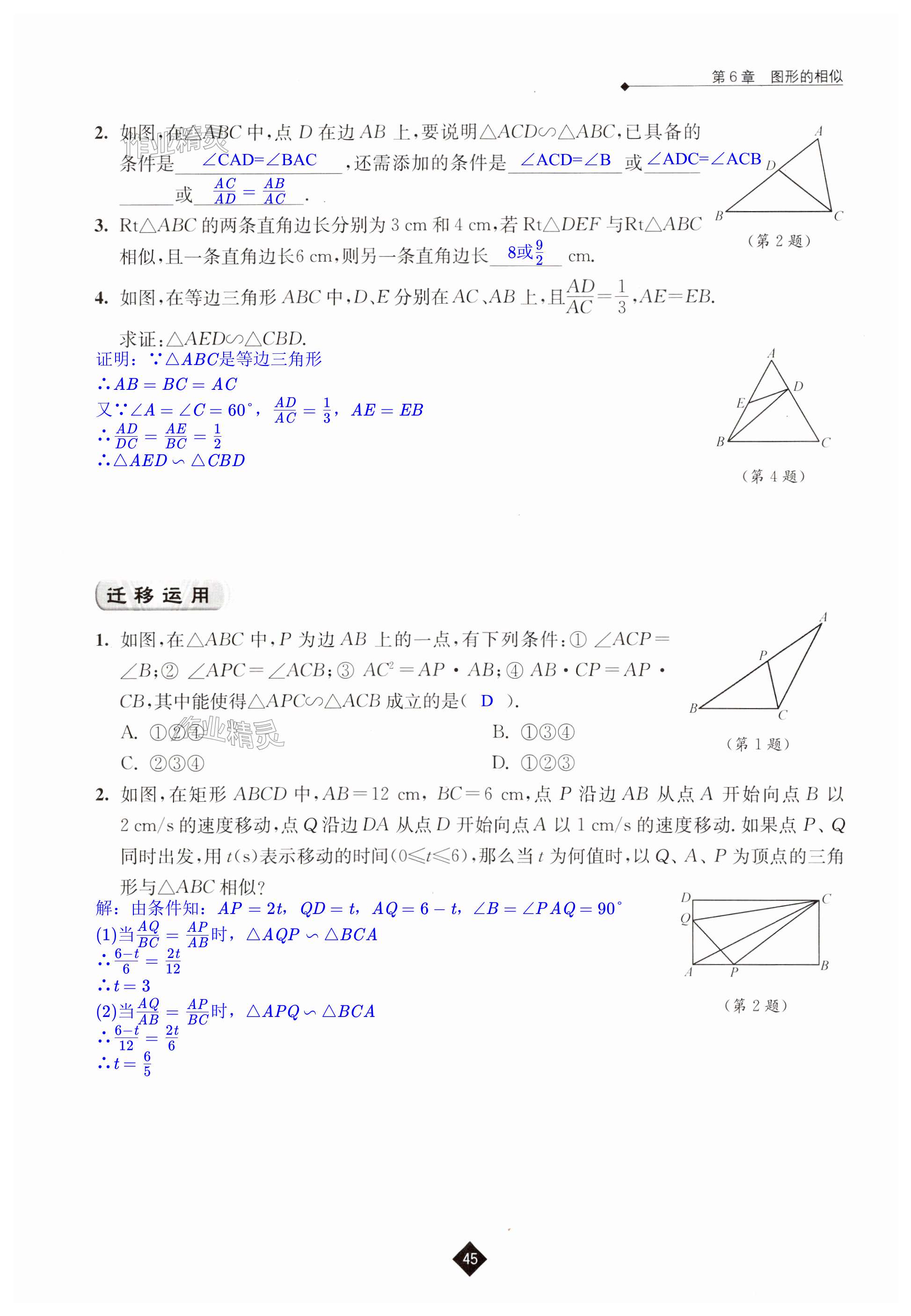 第45頁