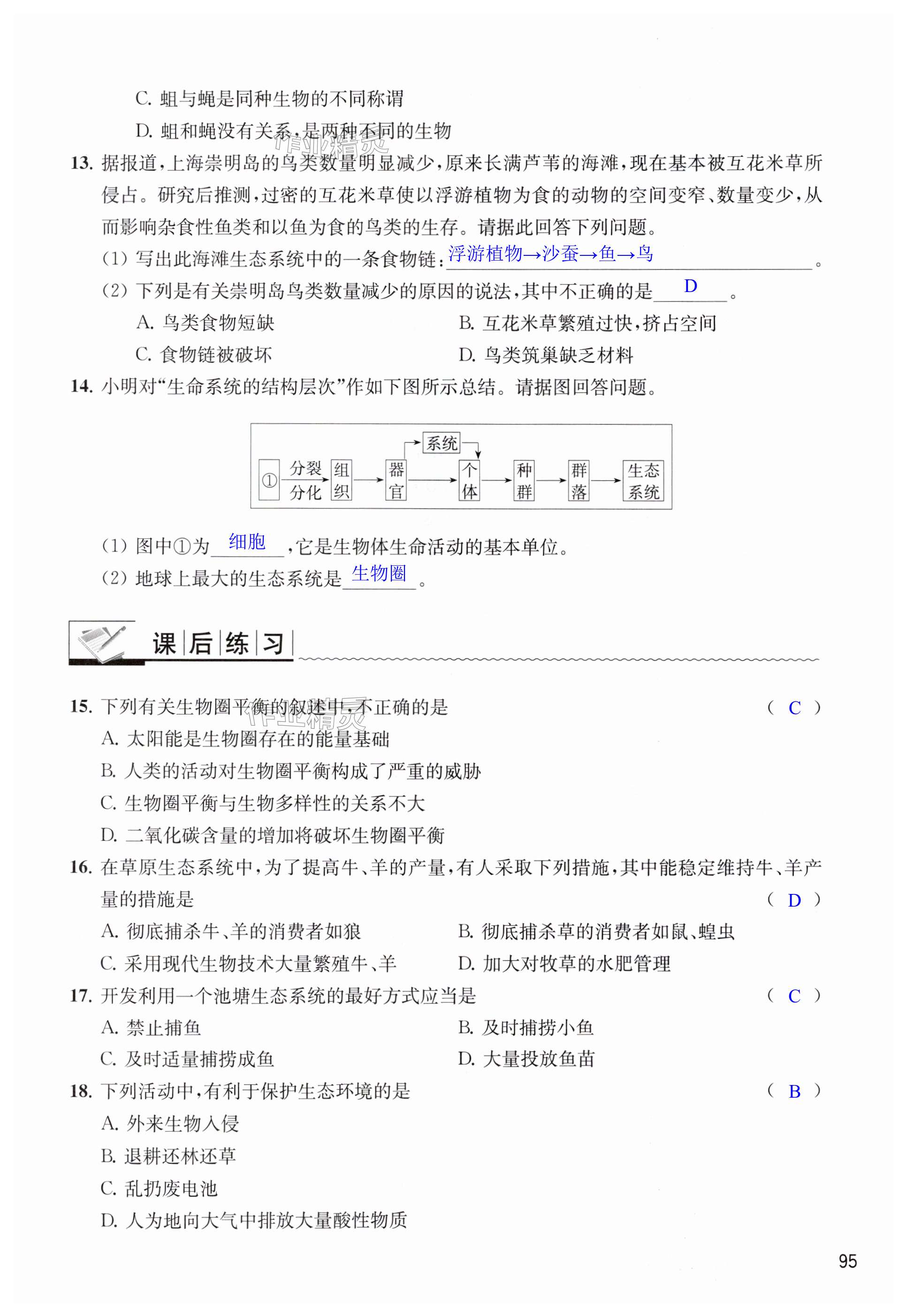 第95頁(yè)