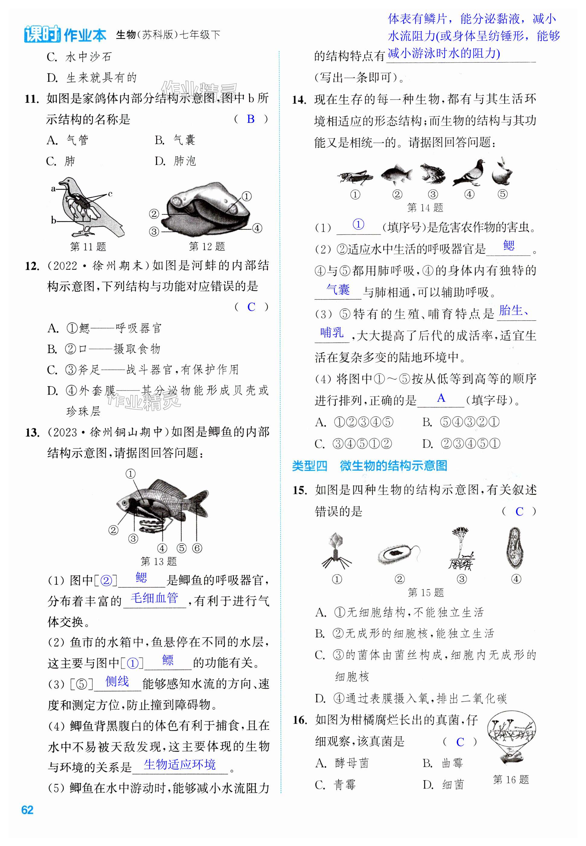 第62頁