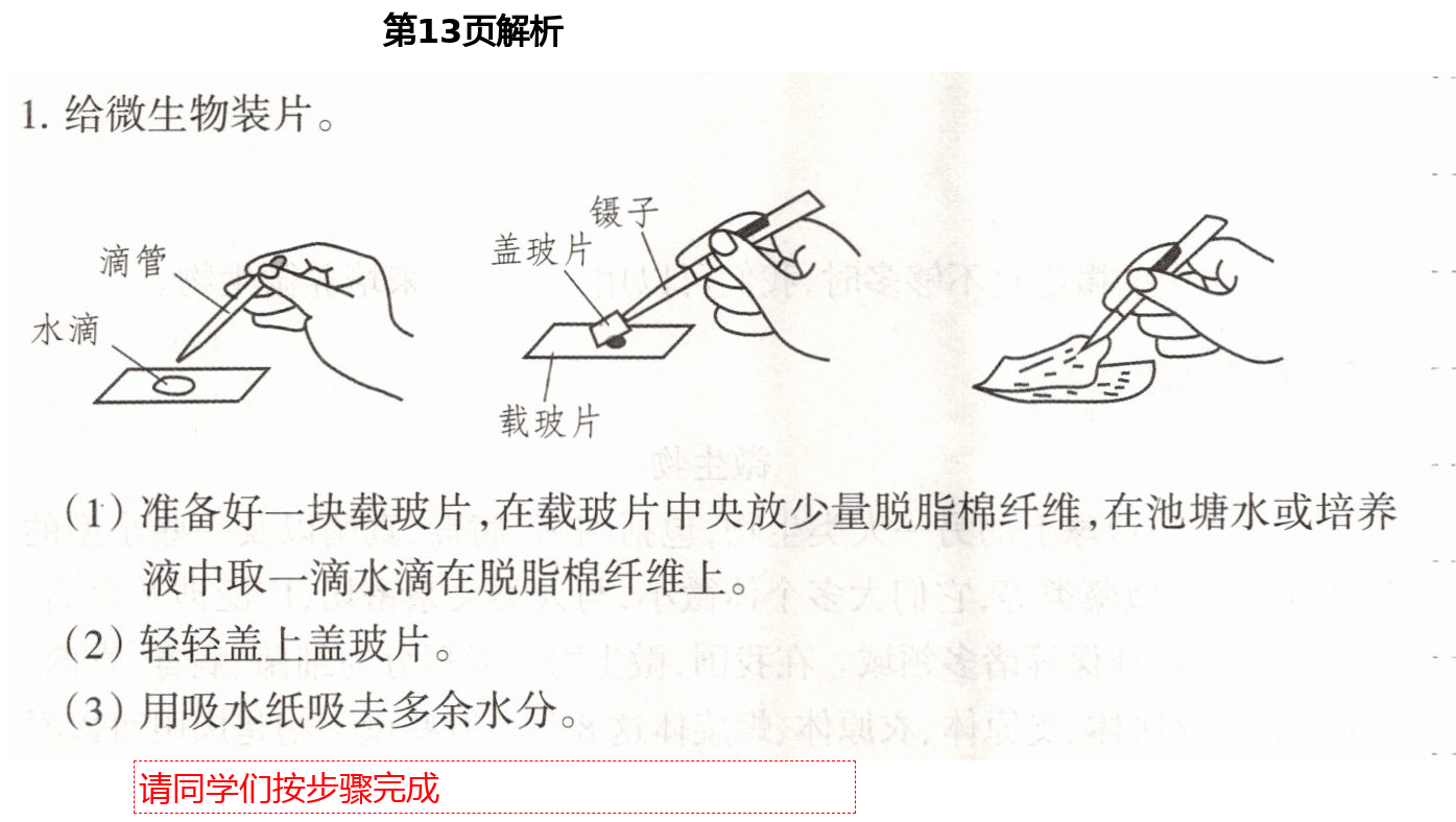 2021年导学新作业六年级科学下册教科版 第13页