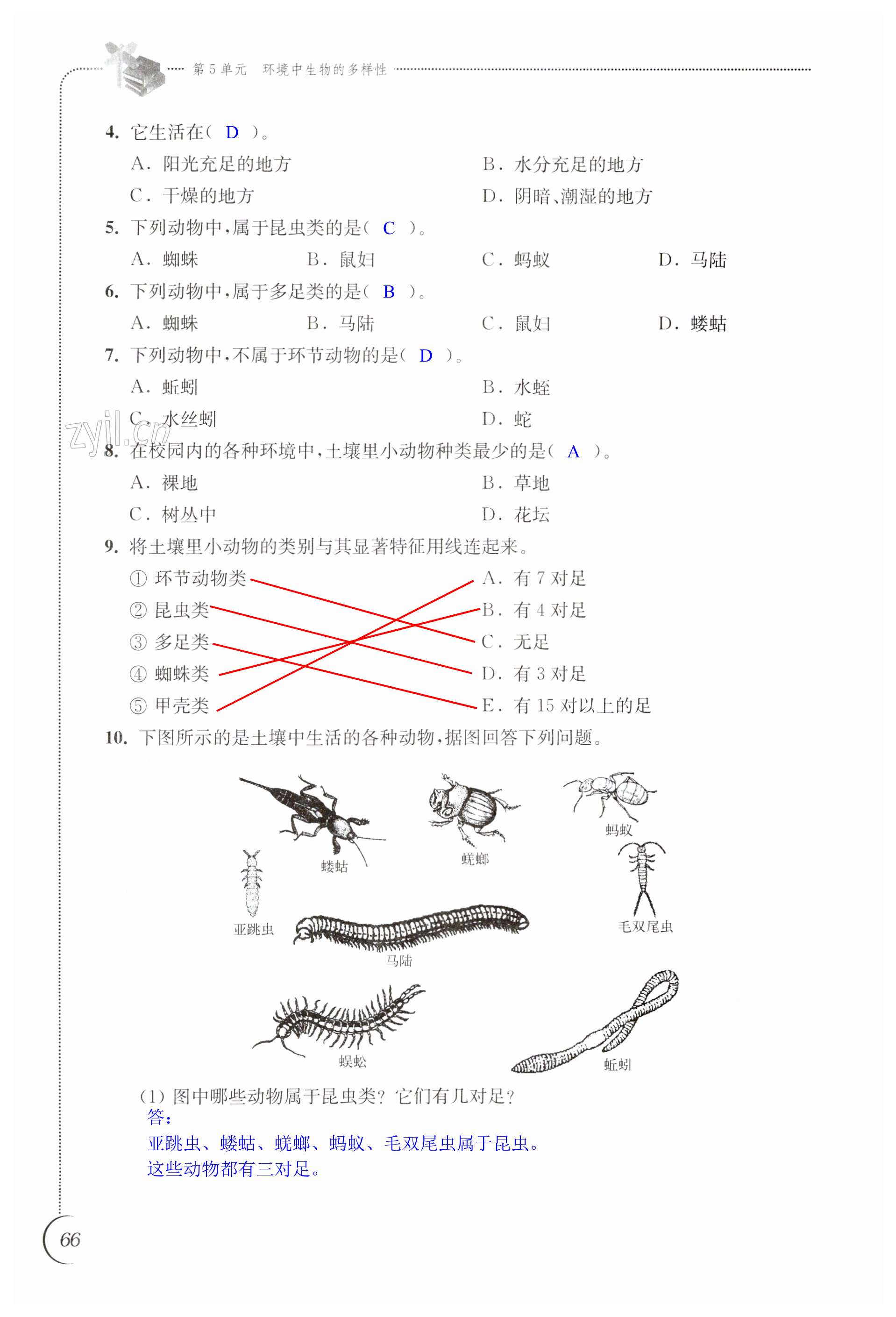 第66页
